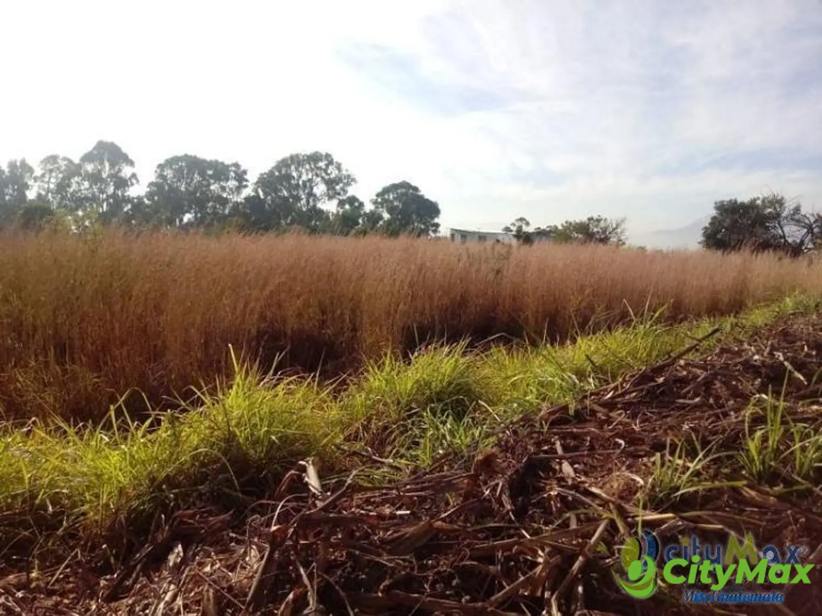 Terreno en Venta en La Selva zona 8 Villa Nueva Ciudad - foto 2