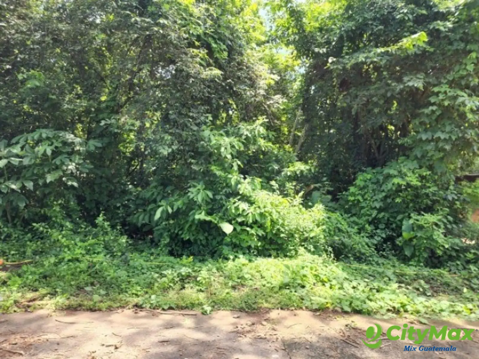 Terreno en Venta Cañadas de Torre Molinos Escuintla - foto 3