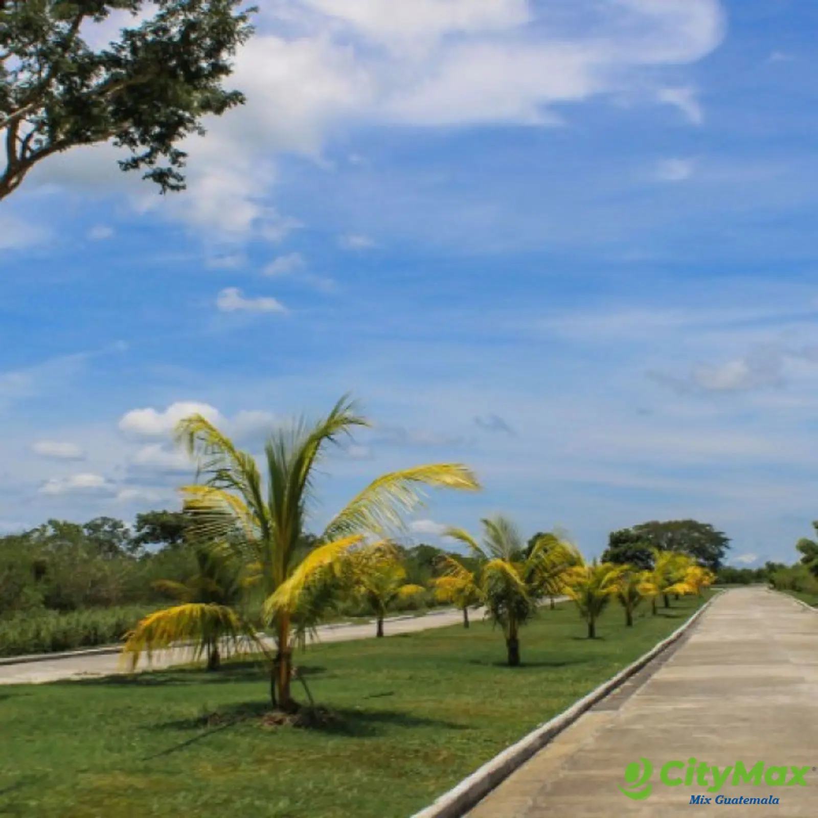 Lote en Venta 13 x 35 metros, Lagunas de Monterrico II - foto 2