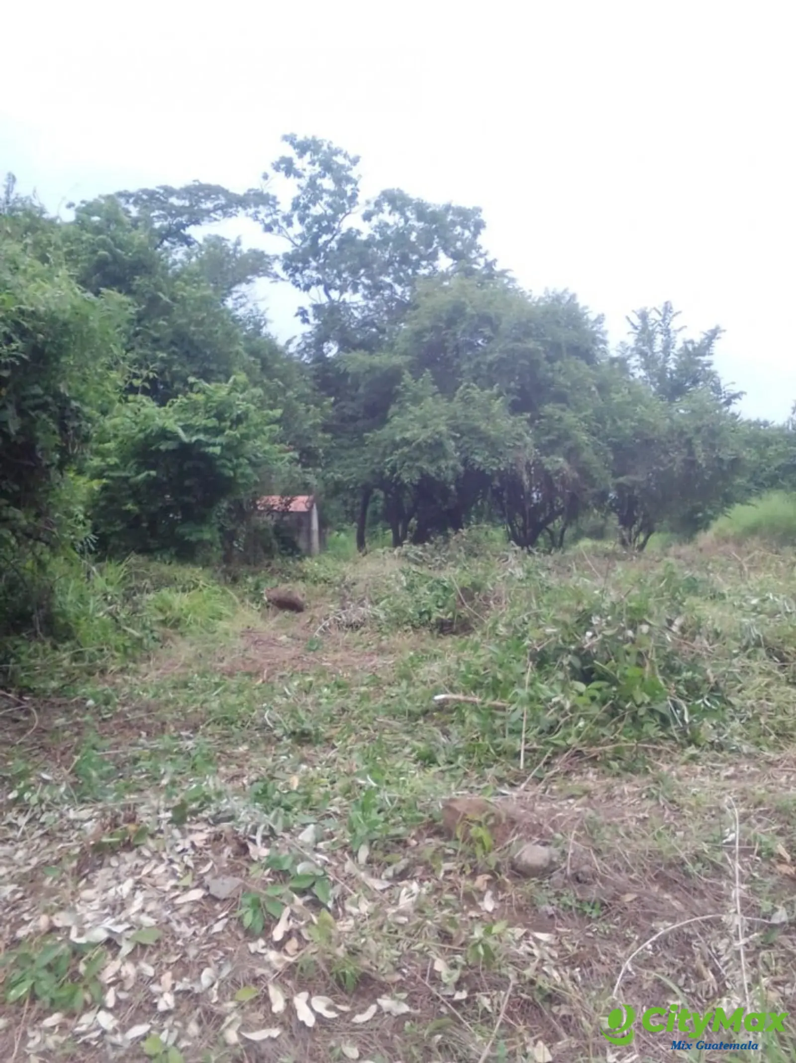 Terreno Grande en Venta Cataratas de Uxmel, Masagua - foto 7