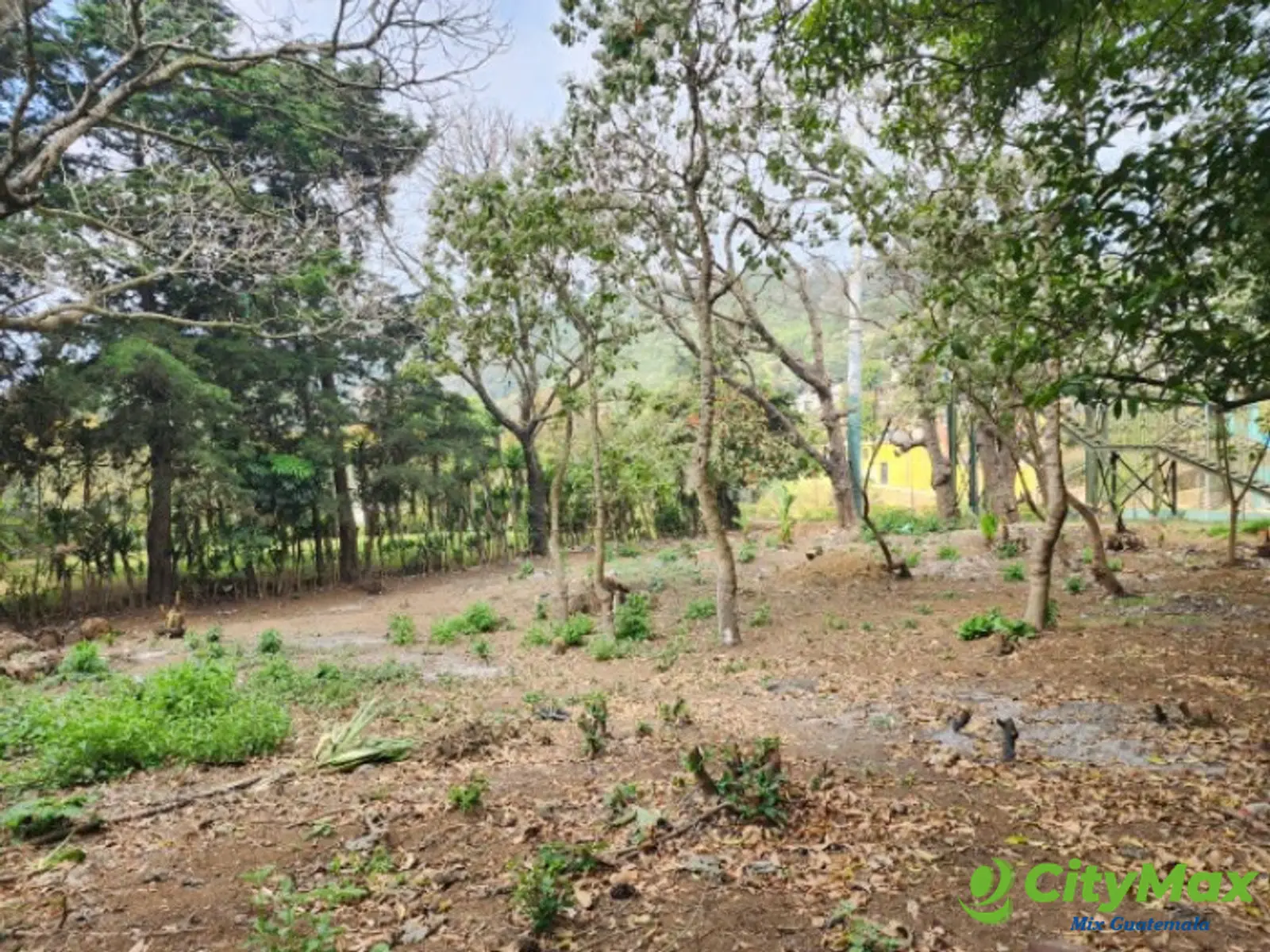 Terreno Comercial en Renta Ruta Interamericana Sn Lucas - foto 9