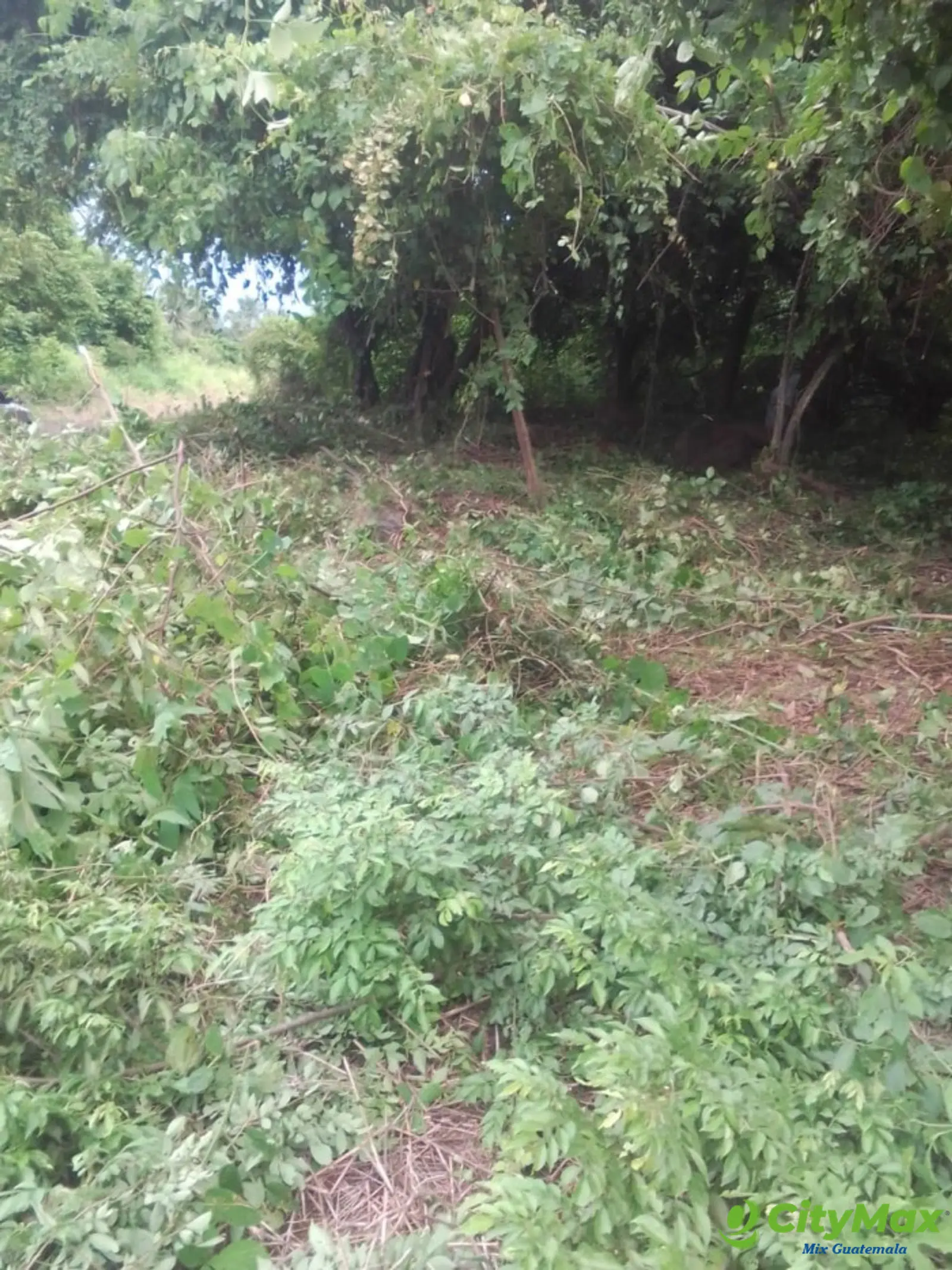 Terreno Grande en Venta Cataratas de Uxmel, Masagua - foto 5