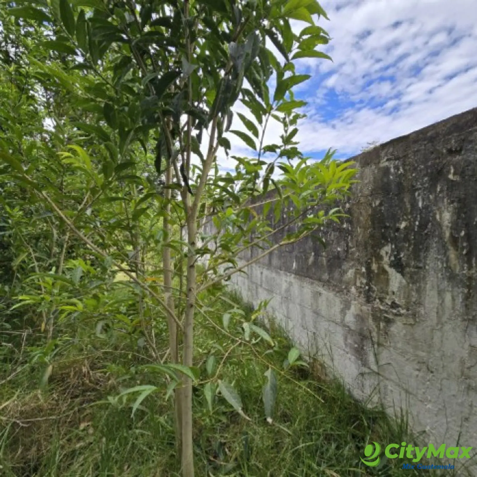 Terreno en Venta San Lucas Sacatepéquez 1,500 mts2 - foto 18