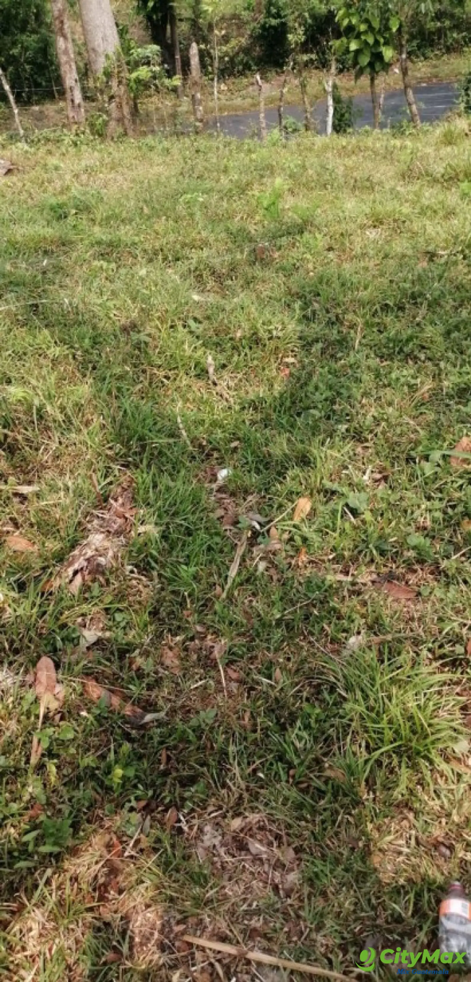 Terreno en Venta Los Amates Izabal, Guatemala - foto 5