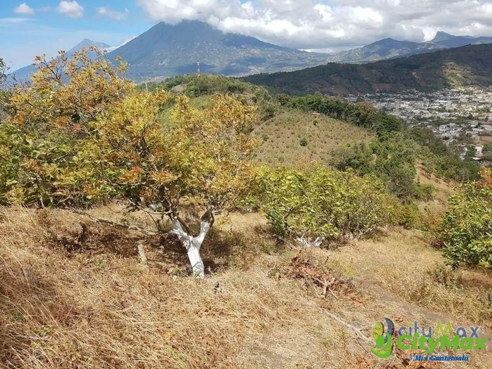 Terreno en Venta de 2.6 manzanas en San Vicente Pacaya - foto 5