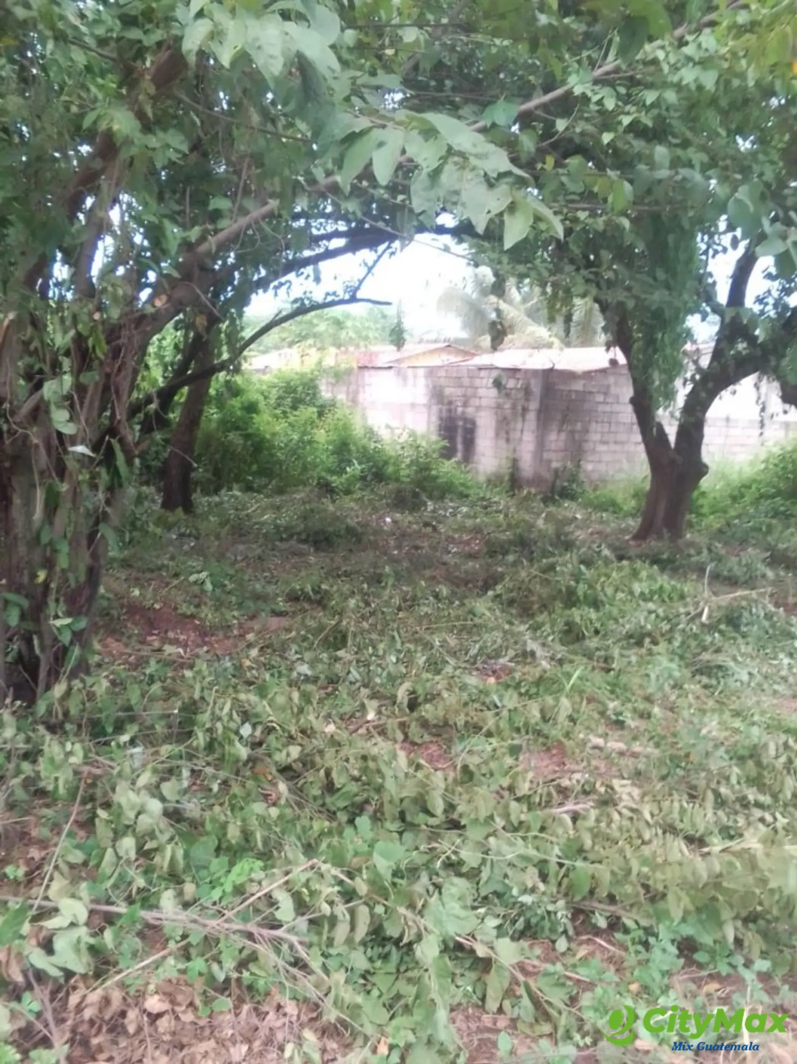 Terreno Grande en Venta Cataratas de Uxmel, Masagua - foto 6