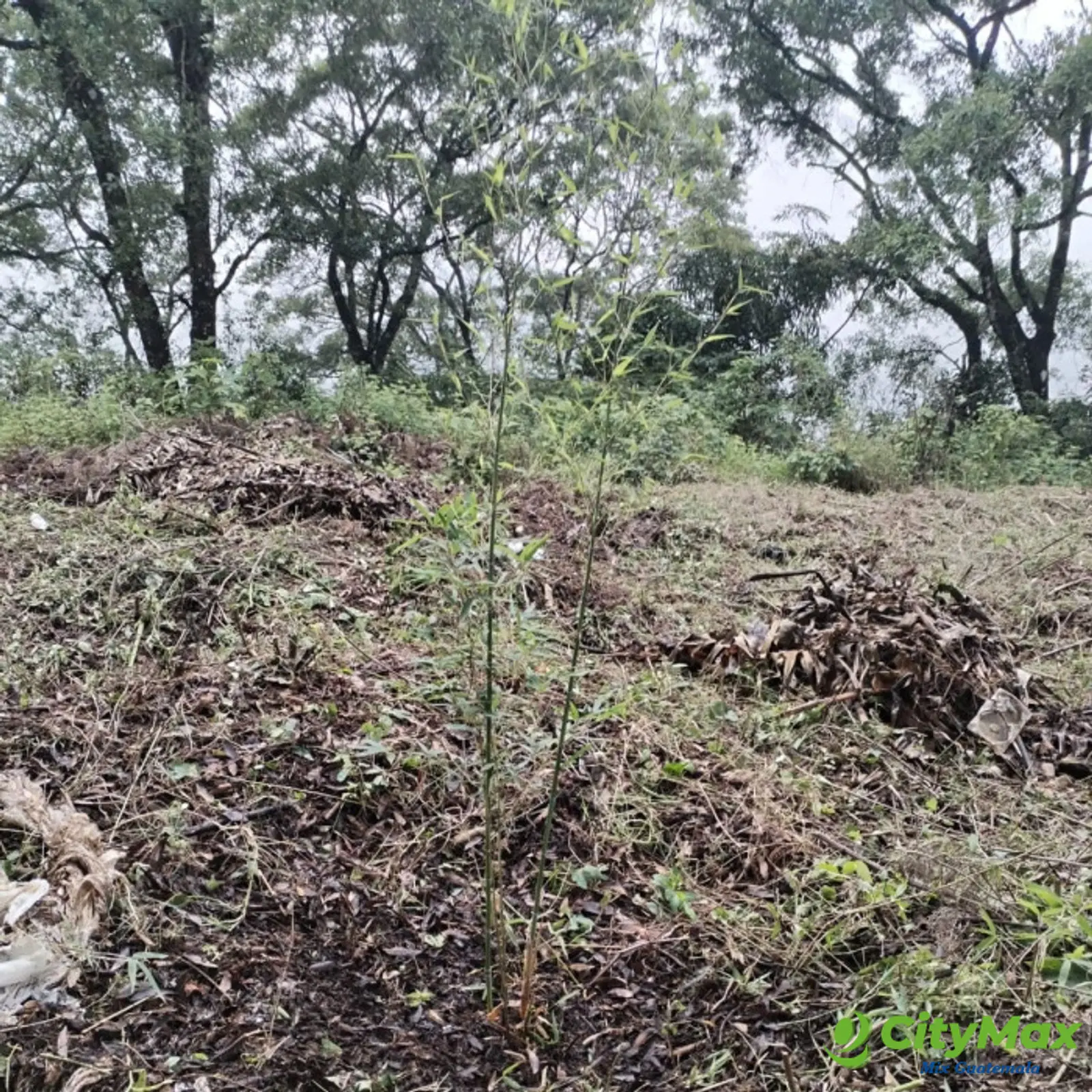 Terreno en Venta Granja Buenos Aires, Fraijanes - foto 2