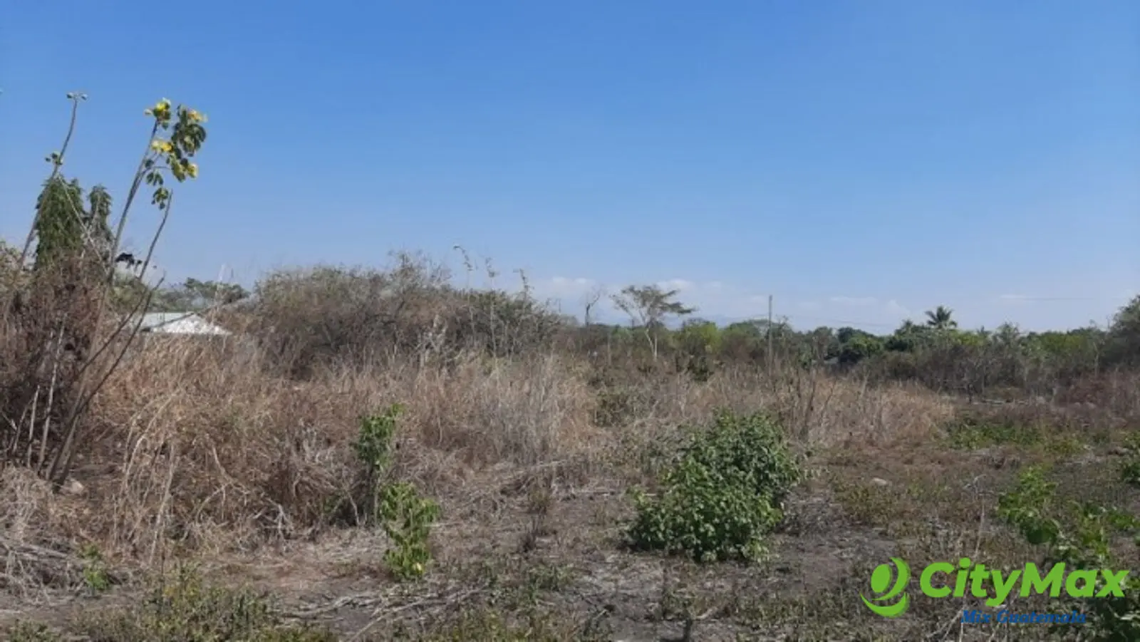 Terreno en Venta en Torre Molinos, Escuintla - foto 4