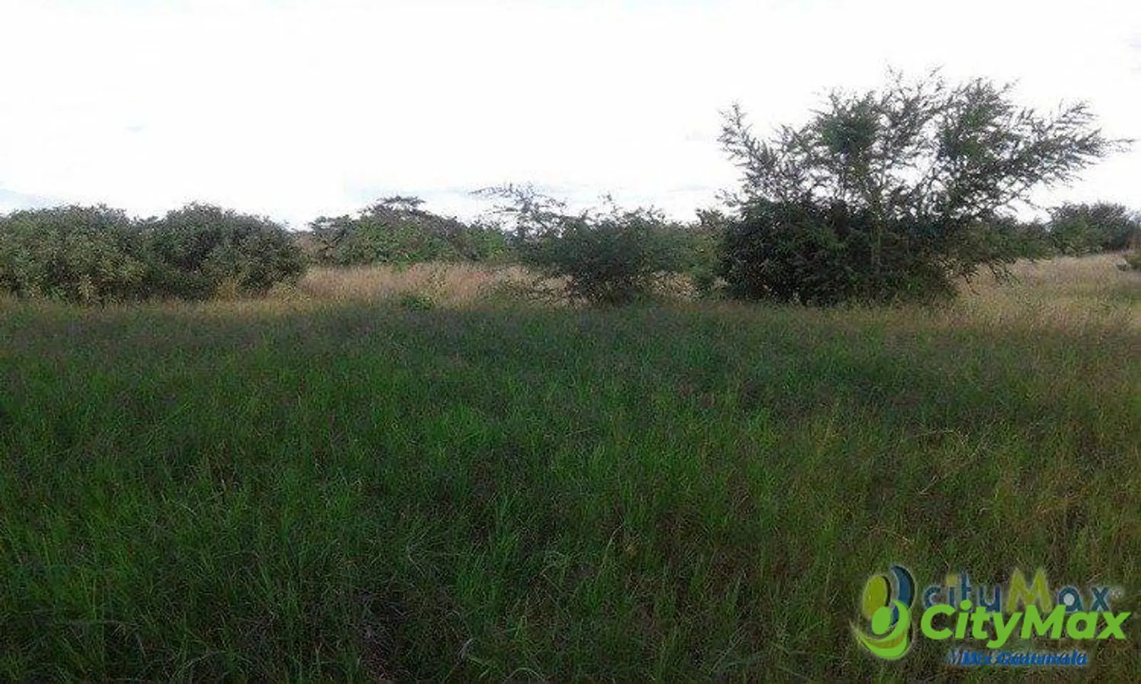 Terreno Comercial en Renta por Metro² en Sanarate - foto 4