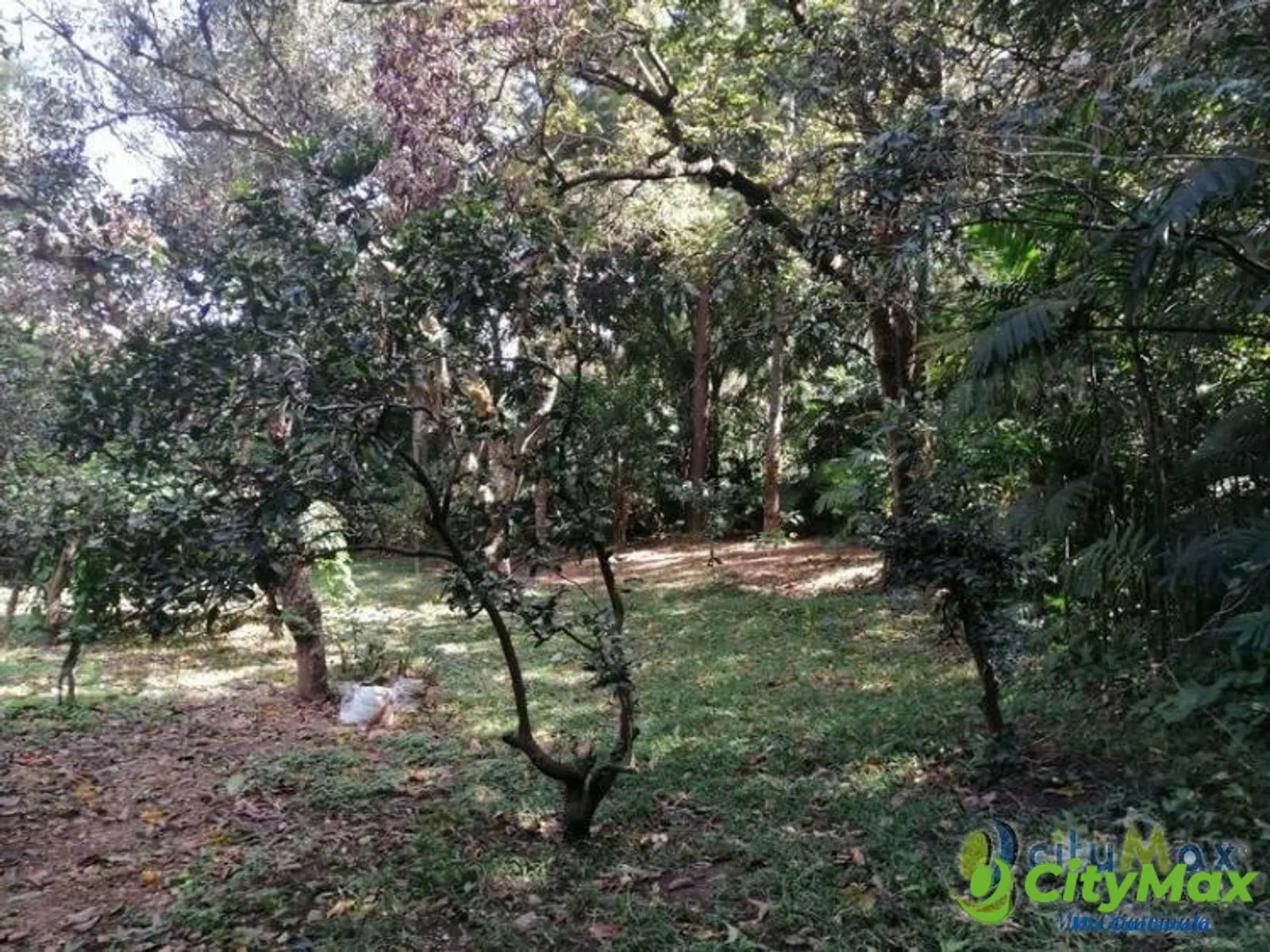 Terreno en Venta Zona 15 Guatemala, uso residencial - foto 4