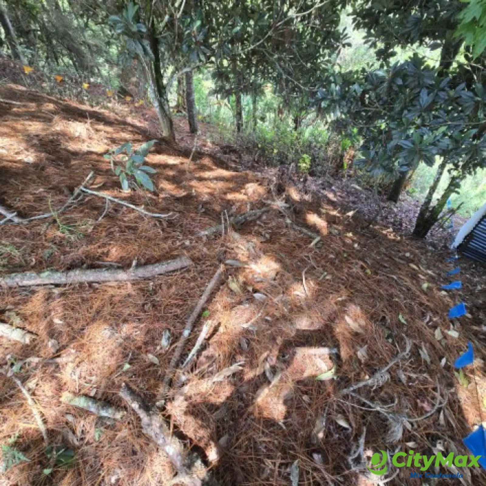 Lote en Venta Carretera a El Salvador Res. San Antonio - foto 4