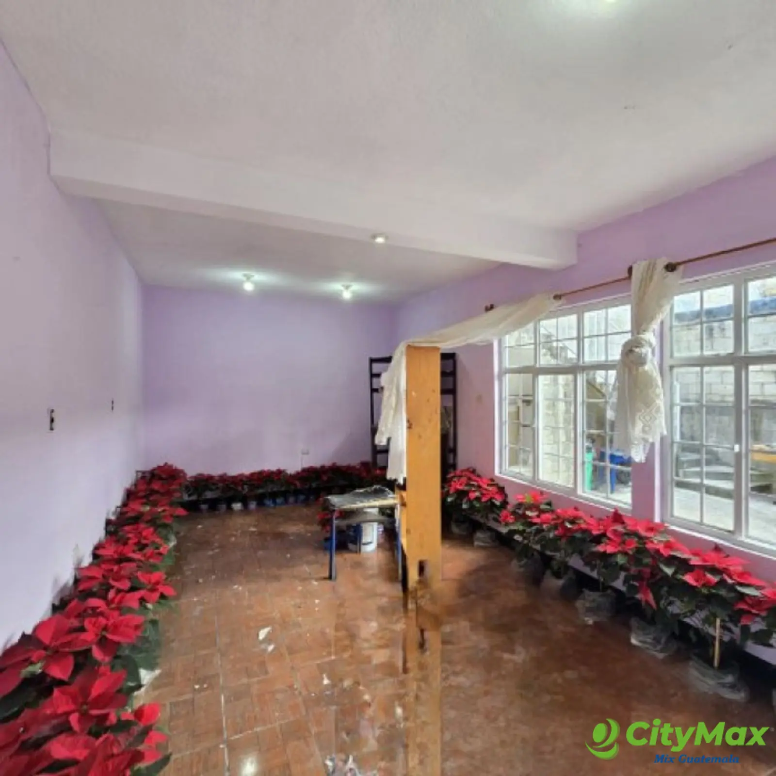 Casa en Renta San Lucas para Empresa, Bodega o Clínica - foto 7