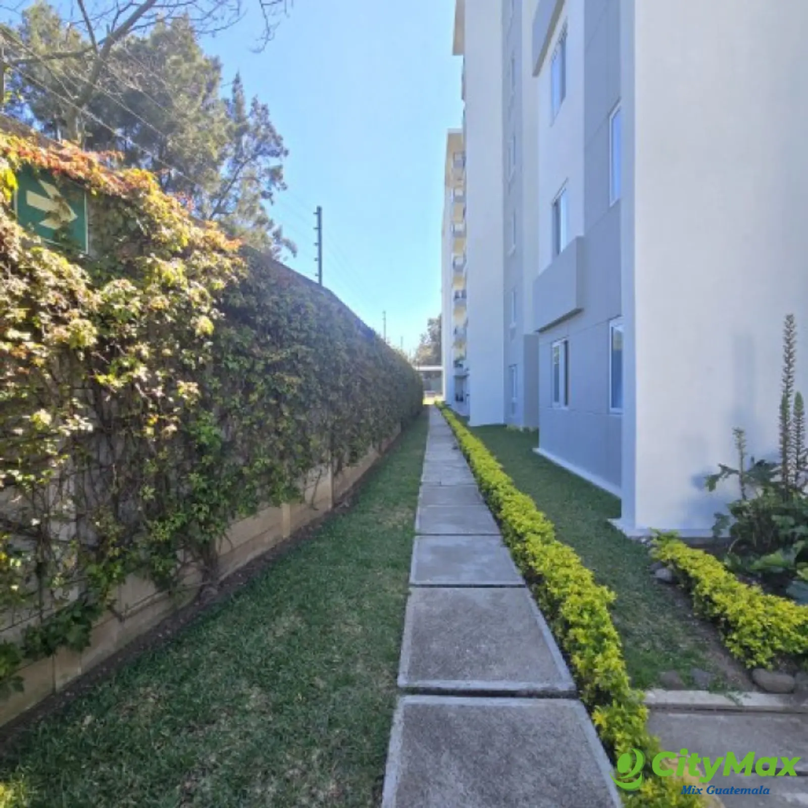 Apartamento en Renta Primer Nivel Parque 7 Roosevelt - foto 22