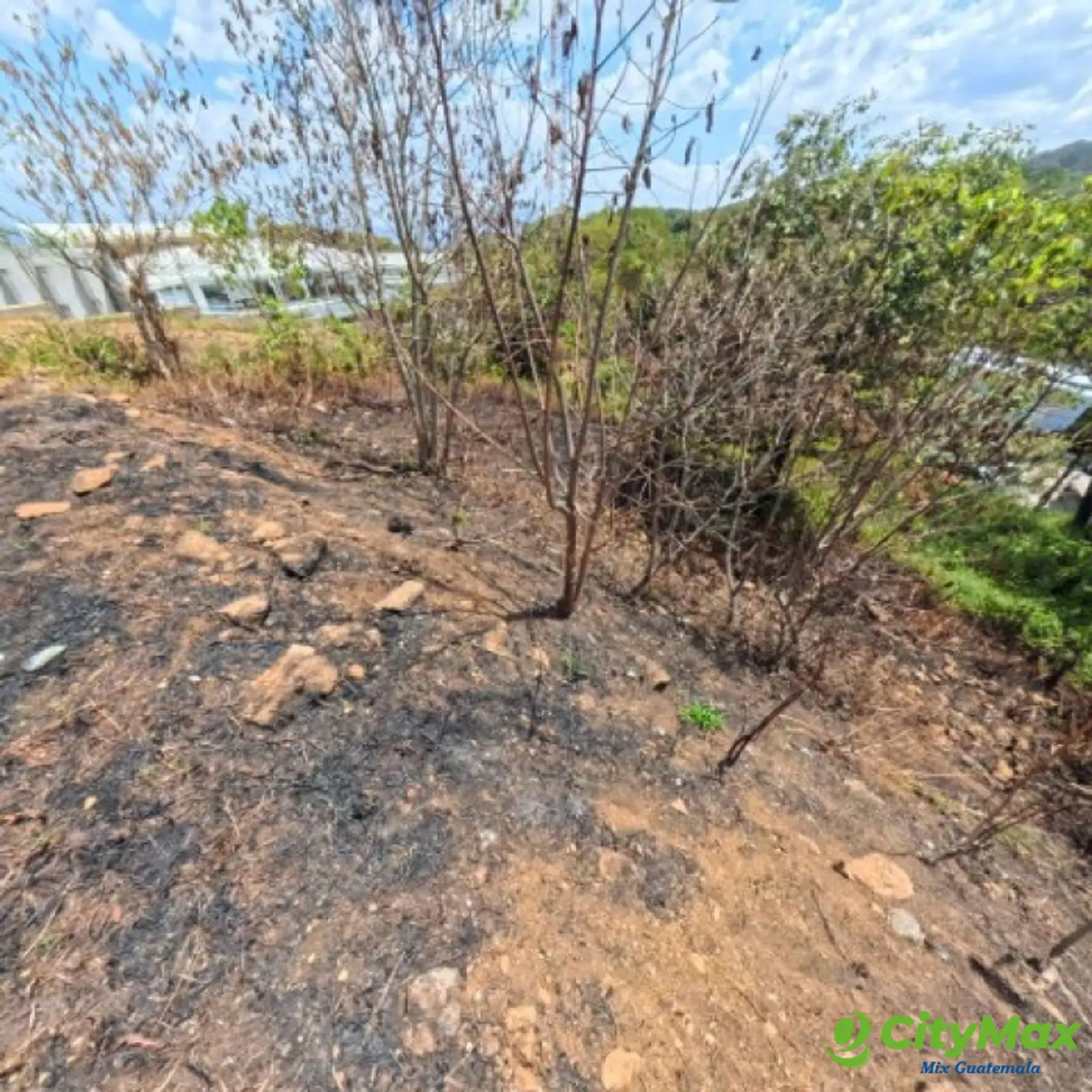 Terreno en Venta San Cristóbal en Colonia sobre Bulevar - foto 5