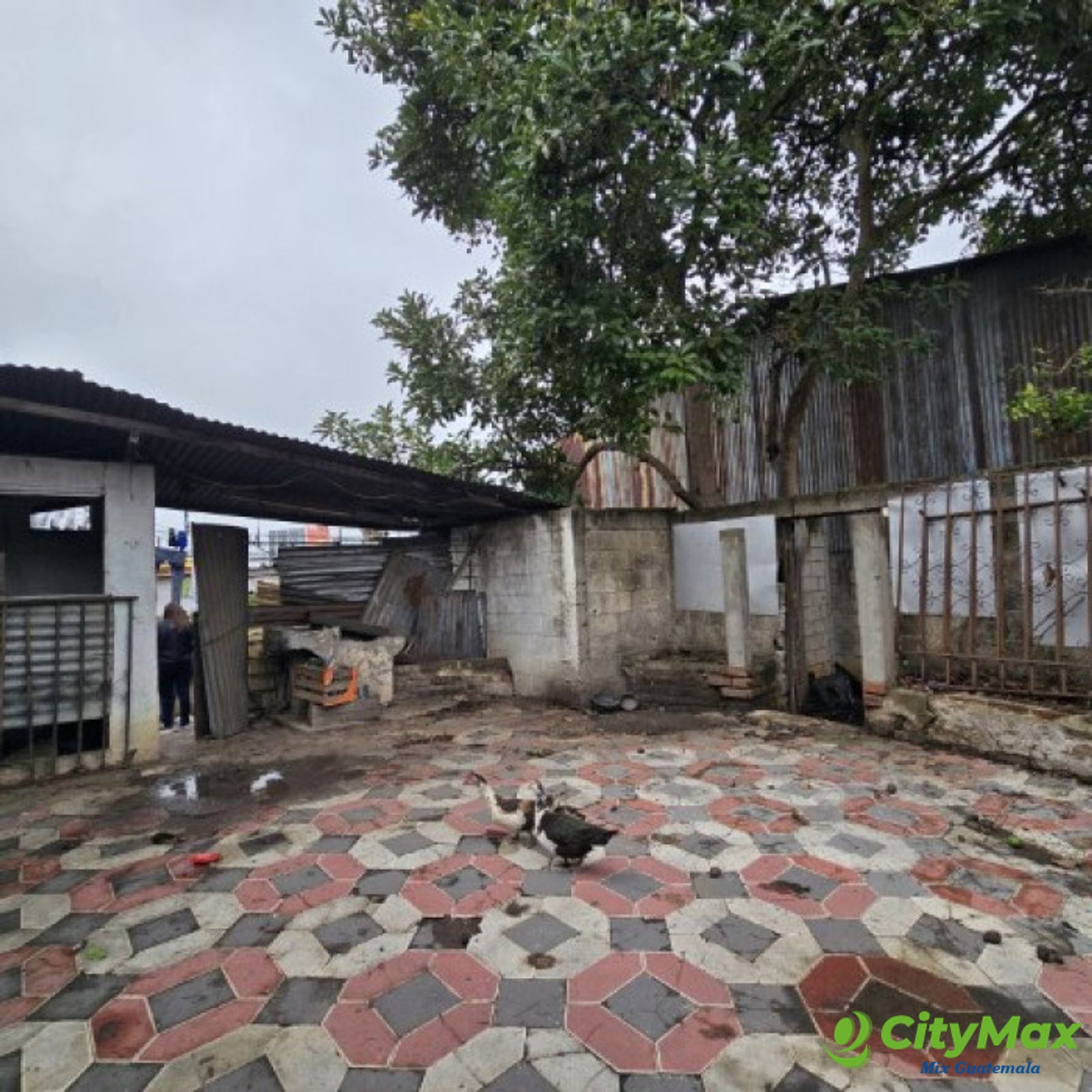 Image 1