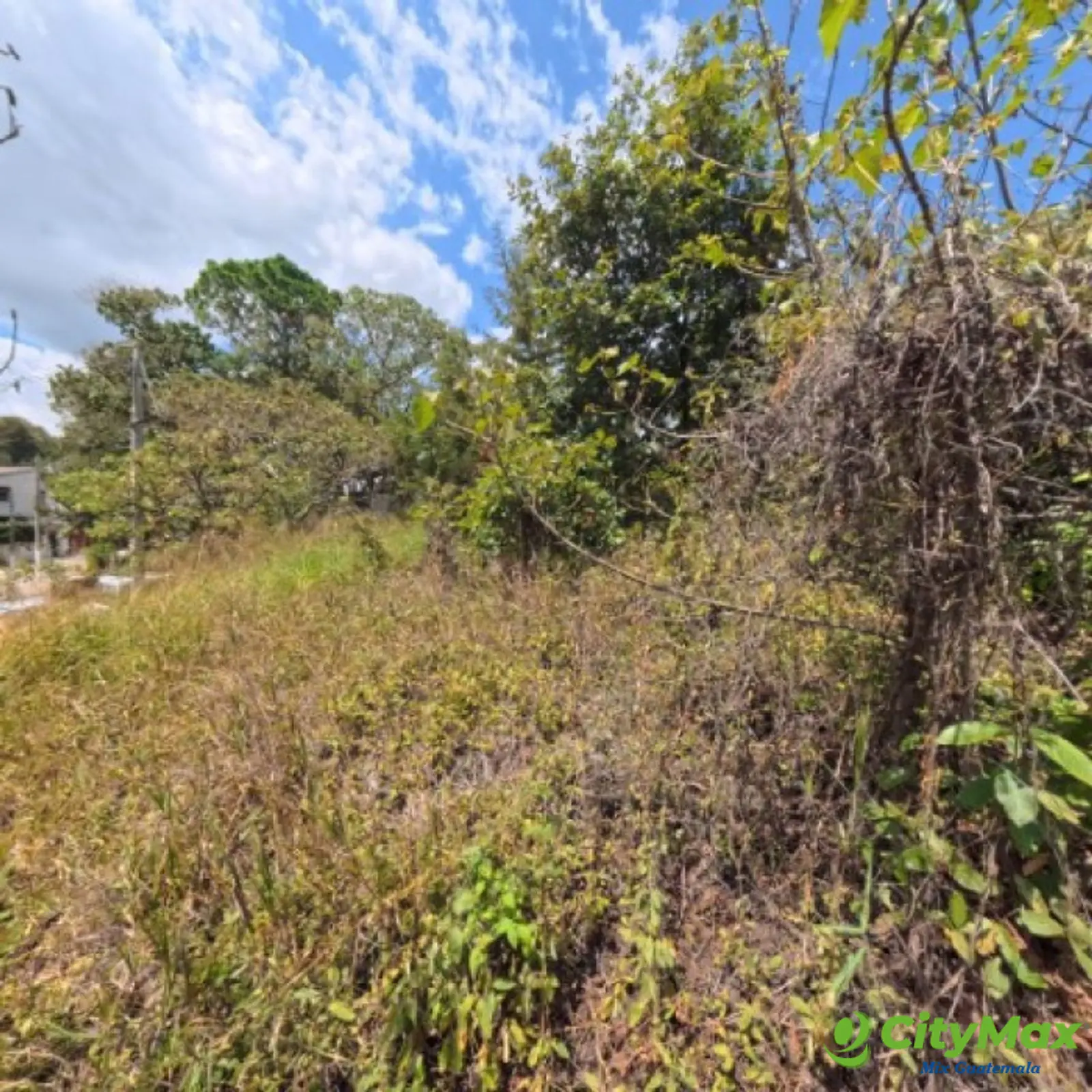 Terreno en Venta San Cristóbal en Colonia sobre Bulevar - foto 8