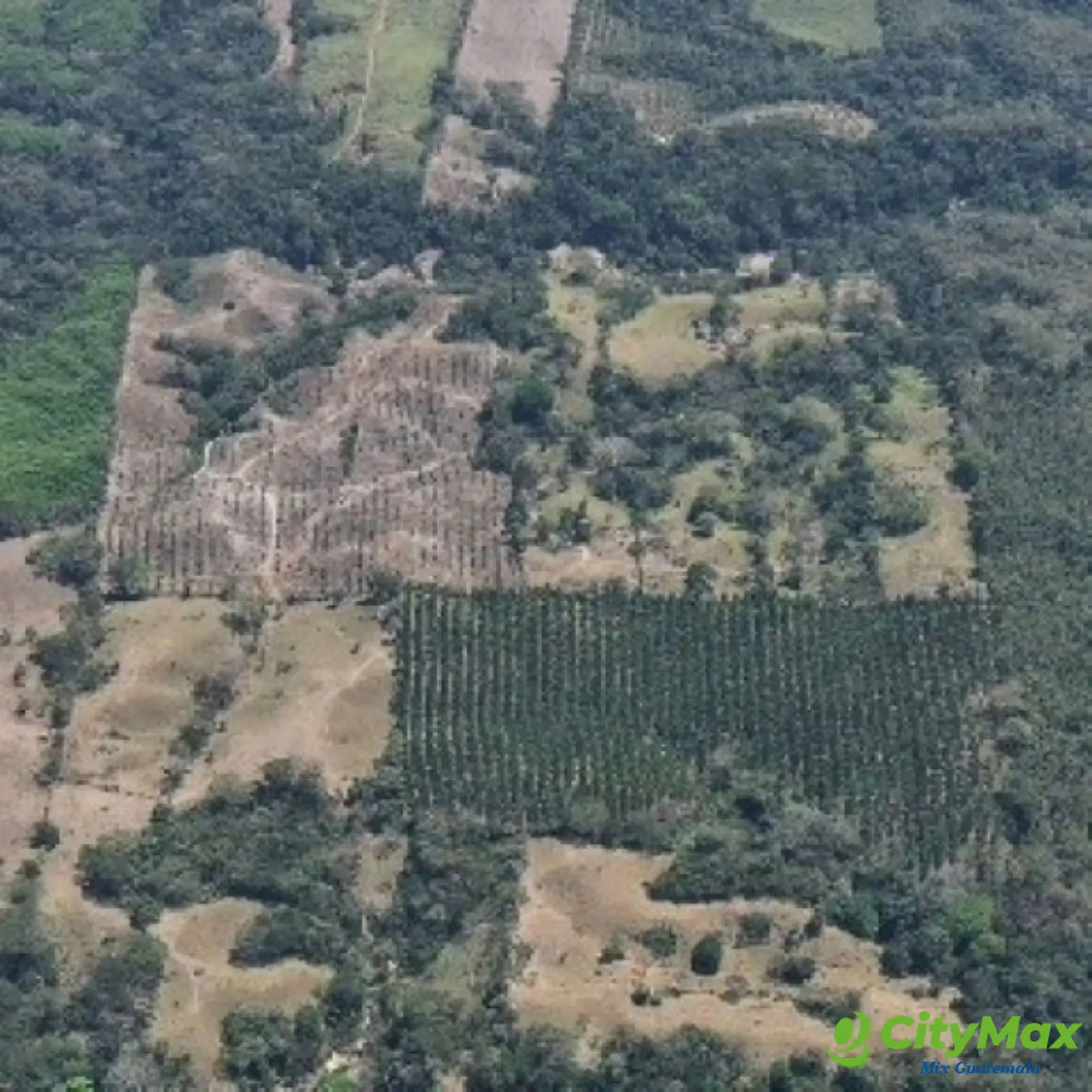 Terreno en Venta Aldea Xayá, Santa Lucía Cotzumalguapa - foto 7