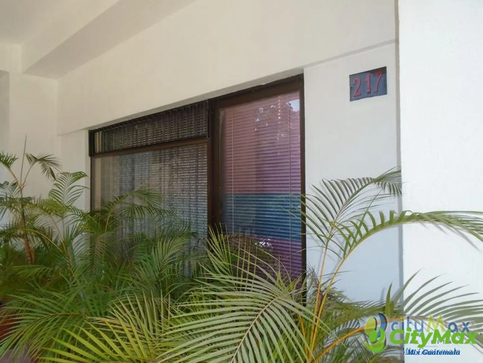 OFICINA COMERCIAL EN VENTA AGUILAR BATRES SUR - foto 3