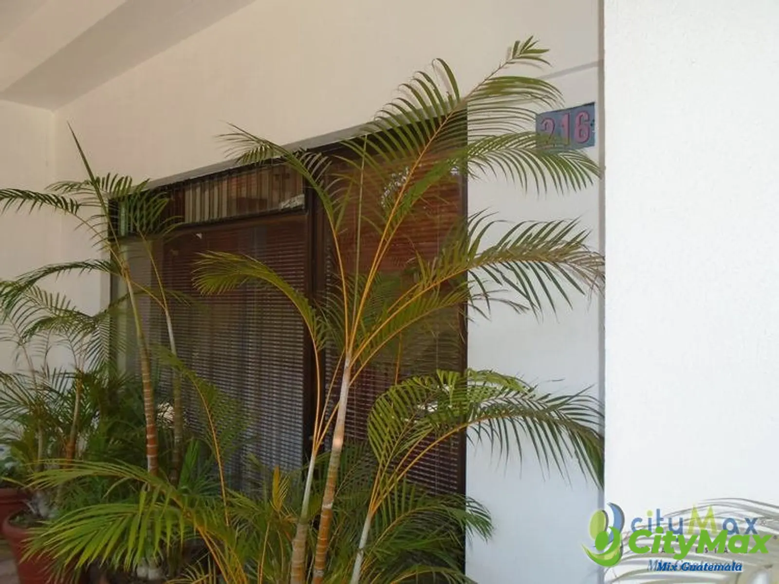 OFICINA COMERCIAL EN VENTA AGUILAR BATRES SUR - foto 4