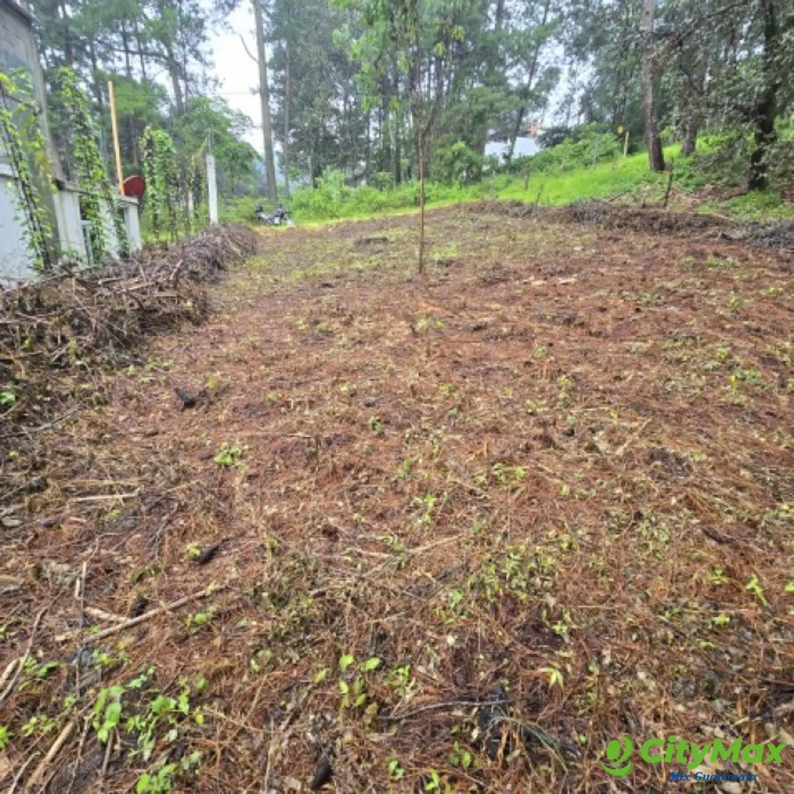 Terreno en Venta Hacienda Manzanales Santa María Cauque - foto 5