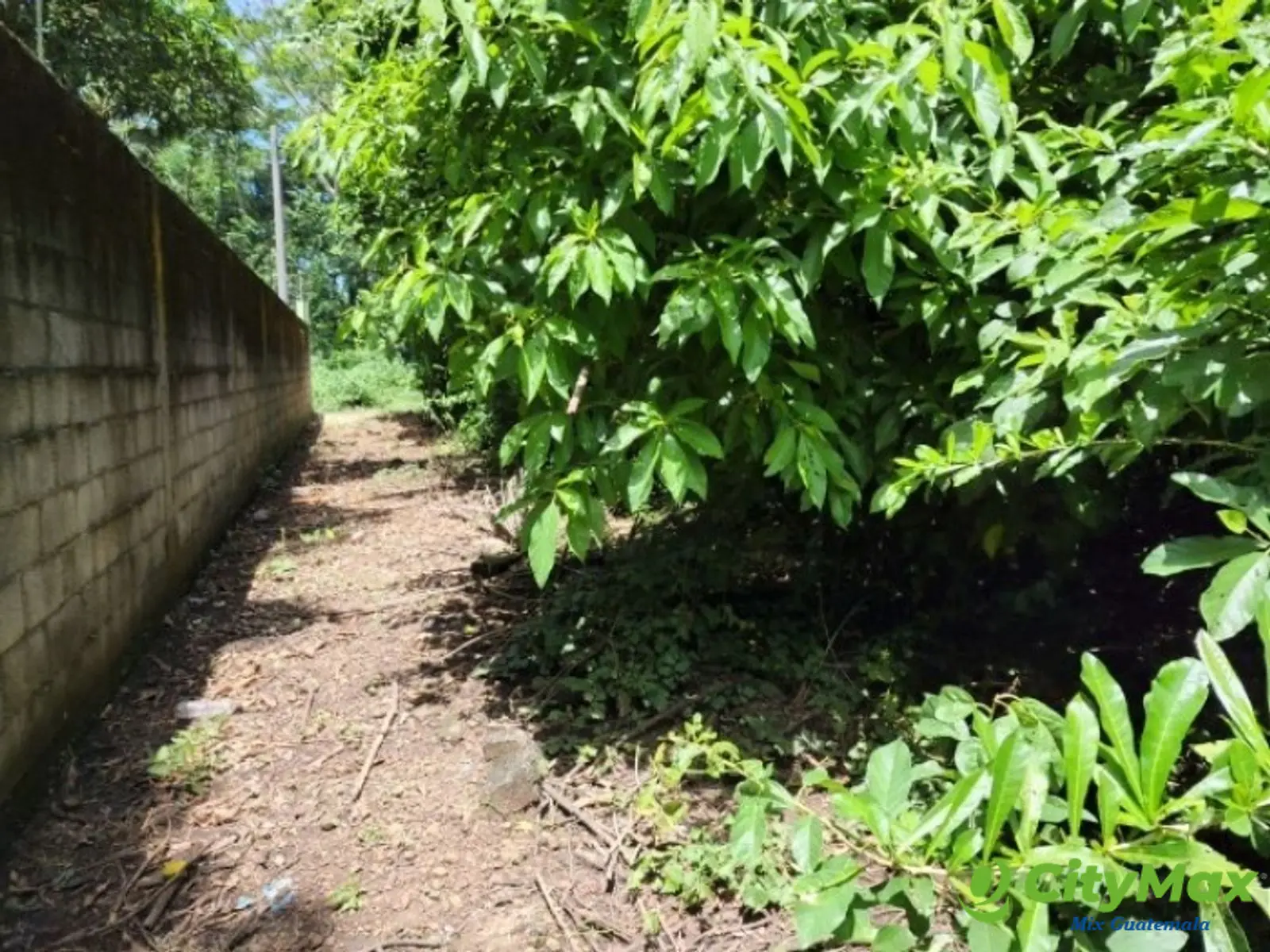 Terreno en Venta Cañadas de Torre Molinos Escuintla - foto 5