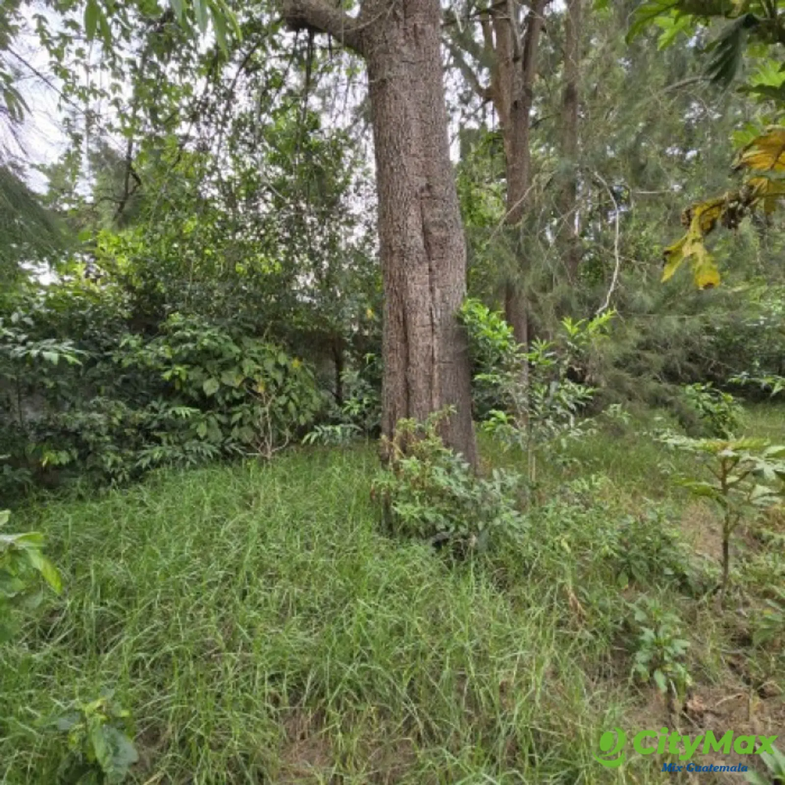Terreno en Venta San Lucas Sacatepéquez 1,500 mts2 - foto 13