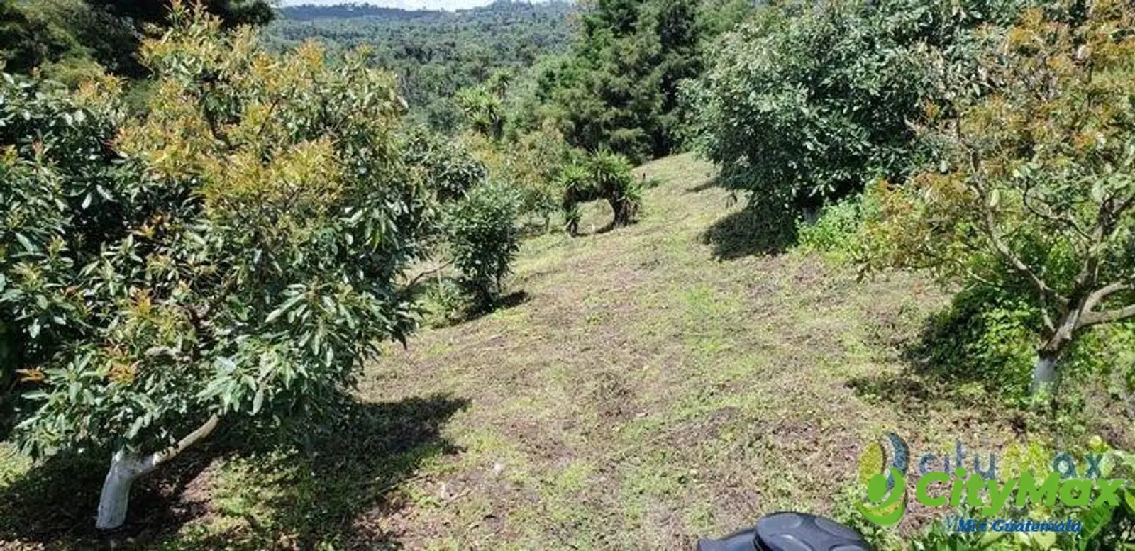 Terreno en Venta de 2.6 manzanas en San Vicente Pacaya - foto 3