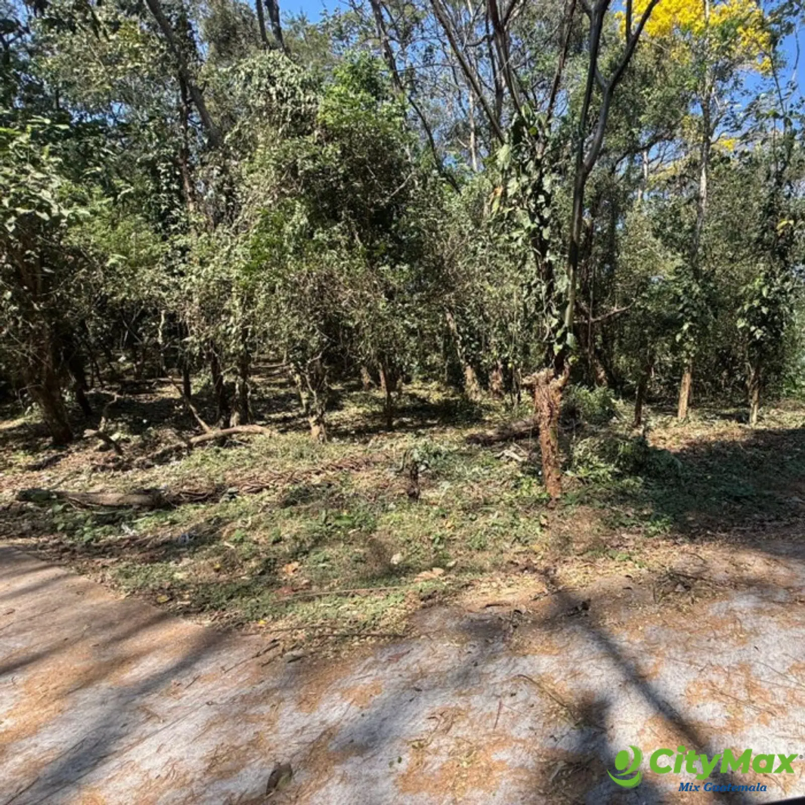Lote en Venta RioSul, Escuintla, Guatemala - foto 6