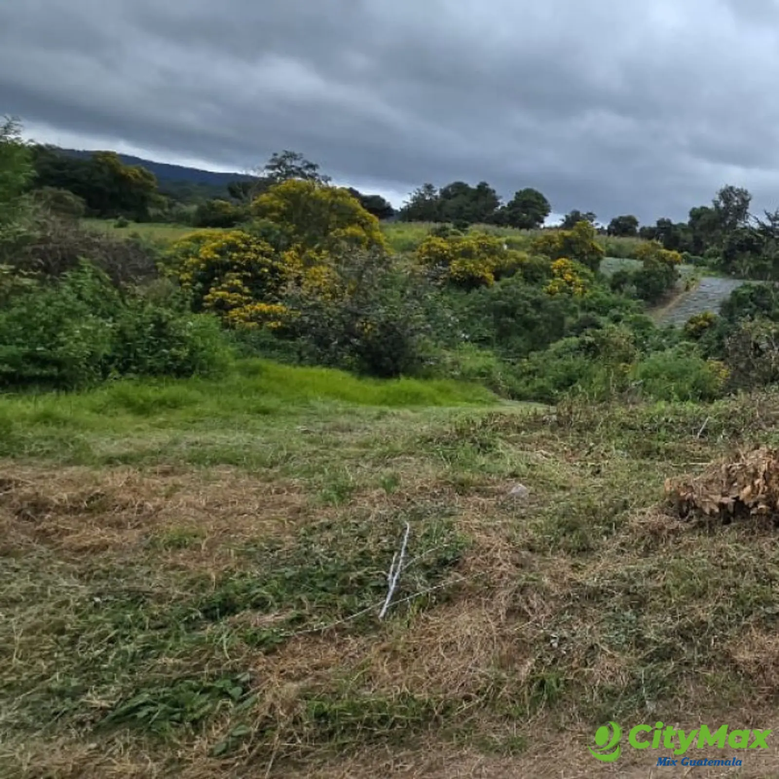 Terreno en Venta Granja Villas Alicia KM 32.9 Santiago - foto 2