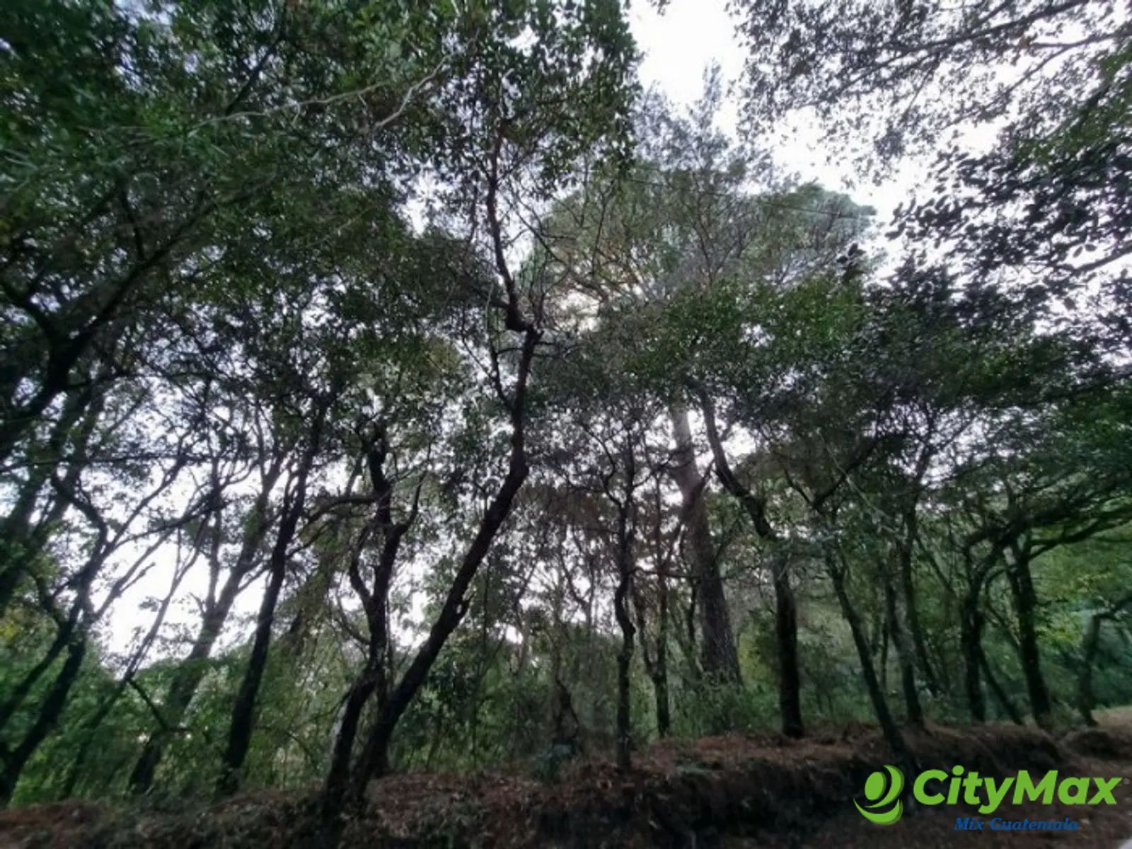 Terreno en Venta en El Encinal, Zona 7 de Mixco - foto 11