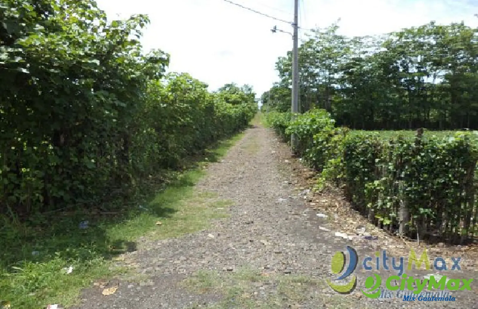 Vendo Terreno con siembra en Cuyotenango, Suchitepequez - foto 4