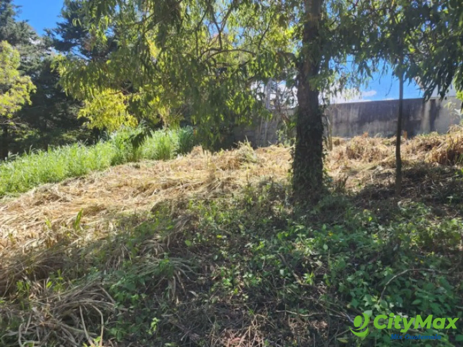 Terreno en Venta Fraijanes dentro de garita, Km 21 CES - foto 6