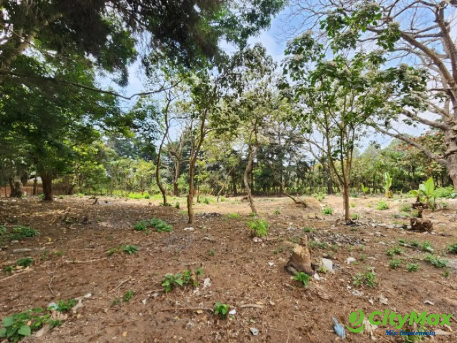 Terreno Comercial en Renta Ruta Interamericana Sn Lucas - foto 3