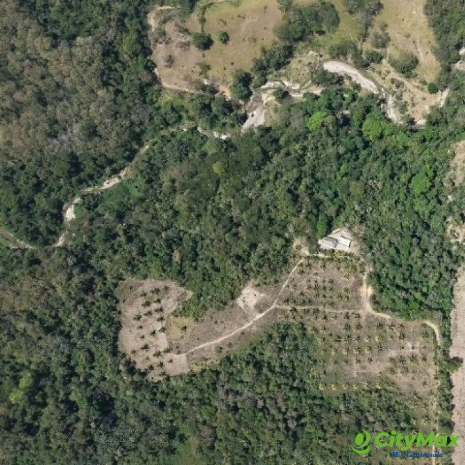 Terreno en Venta Aldea Xayá, Santa Lucía Cotzumalguapa - foto 2