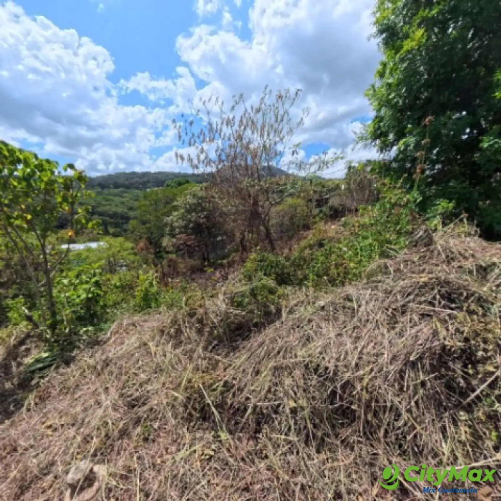 Terreno en Venta San Cristóbal en Colonia sobre Bulevar - foto 9