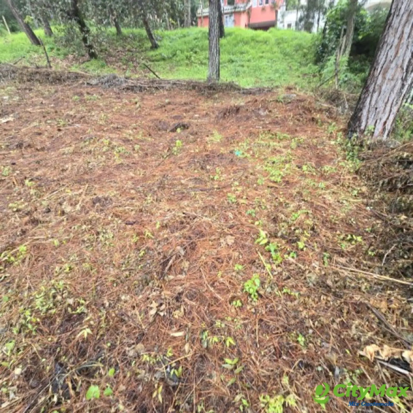 Terreno en Venta Hacienda Manzanales Santa María Cauque - foto 4