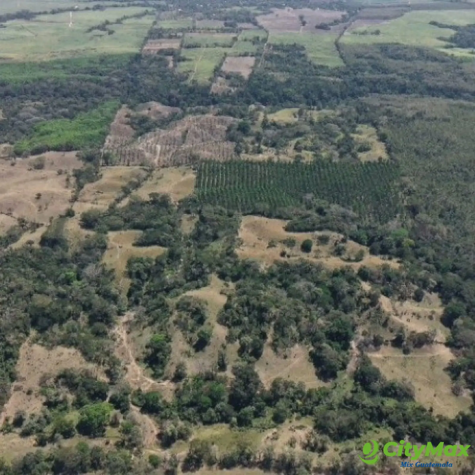 Terreno en Venta Aldea Xayá, Santa Lucía Cotzumalguapa - foto 6