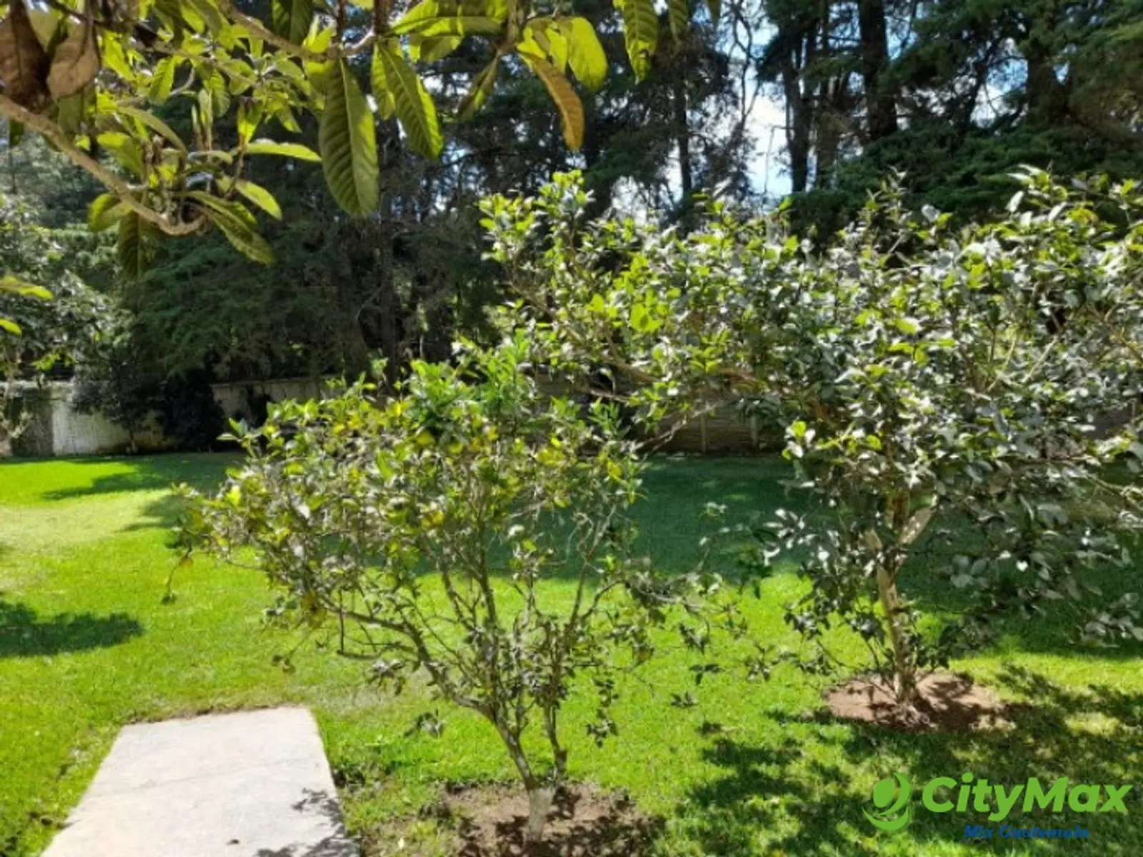 Casa en Venta y renta Arrazola Panorama CES sin muebles - foto 15
