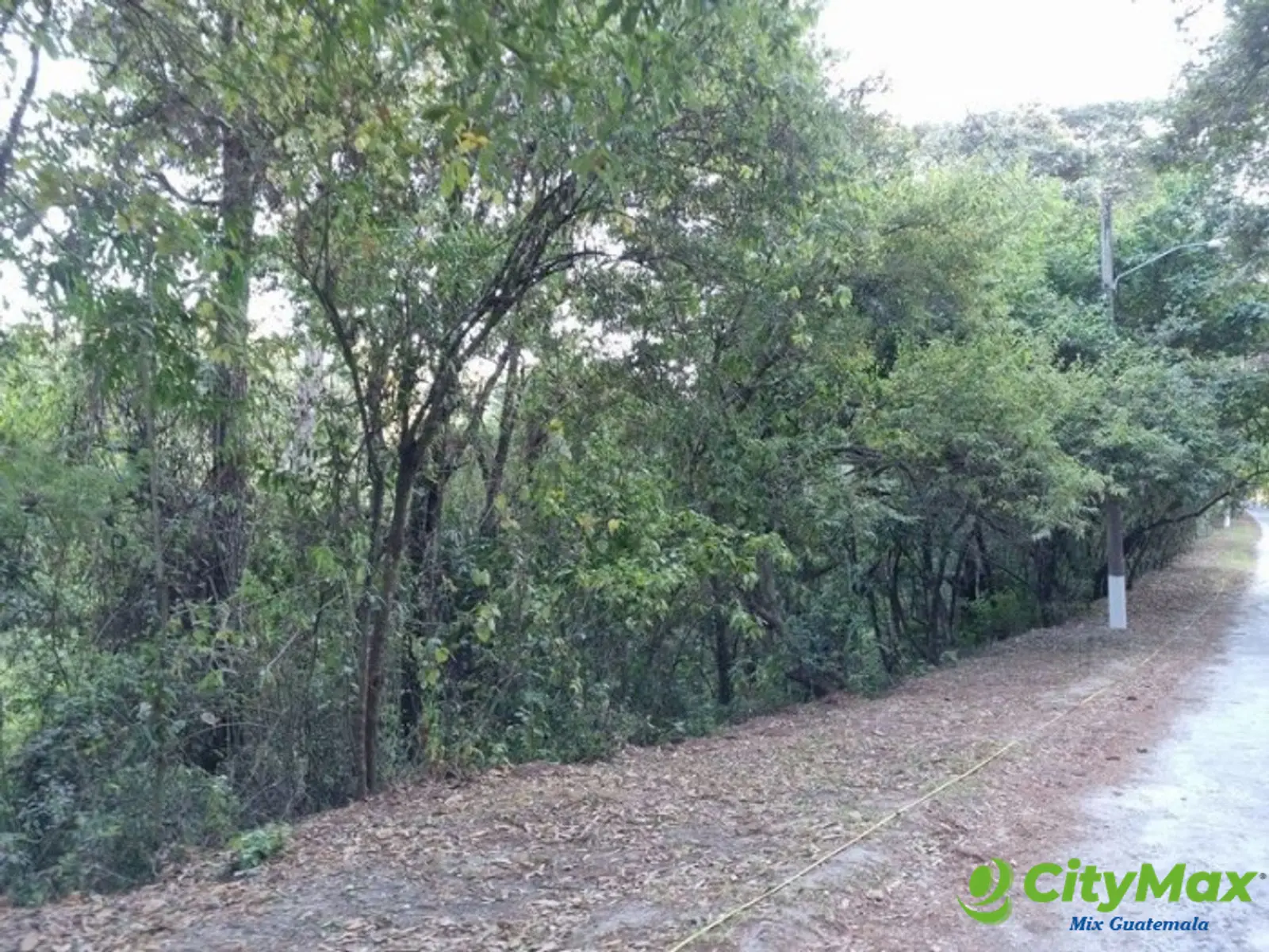 Terreno en Venta en El Encinal, Zona 7 de Mixco - foto 10