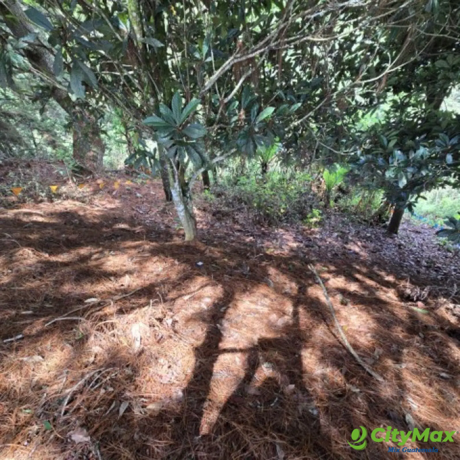 Lote en Venta Carretera a El Salvador Res. San Antonio - foto 5