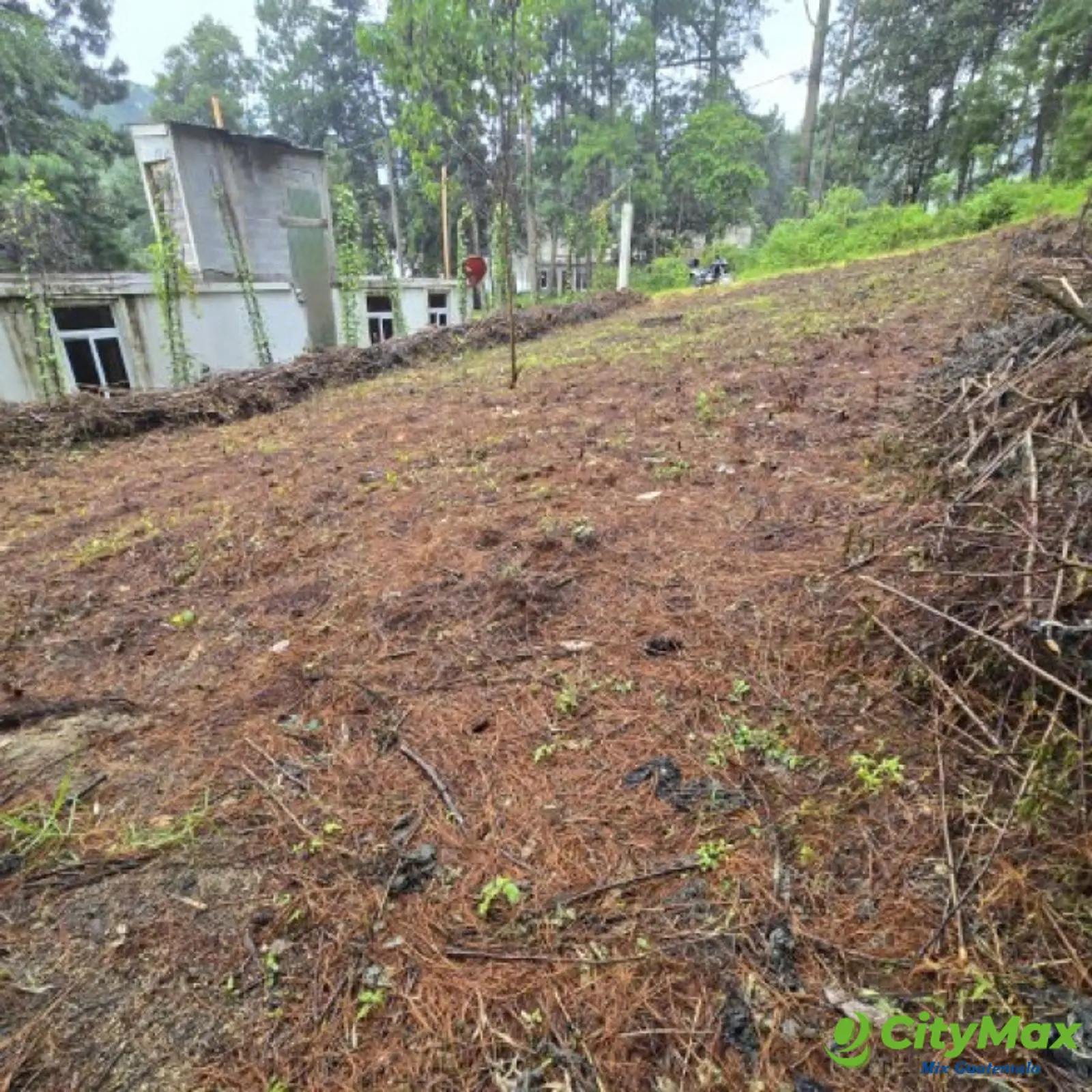 Terreno en Venta Hacienda Manzanales Santa María Cauque - foto 11