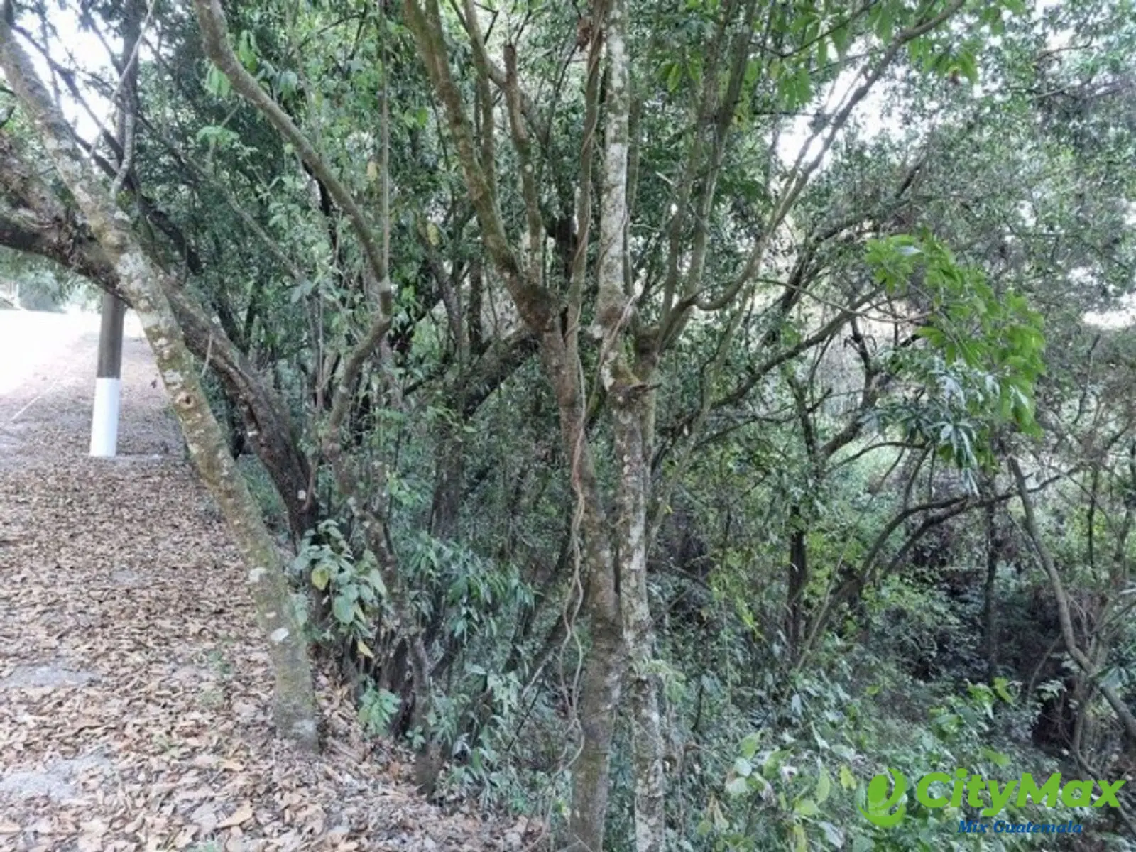 Terreno en Venta en El Encinal, Zona 7 de Mixco - foto 17