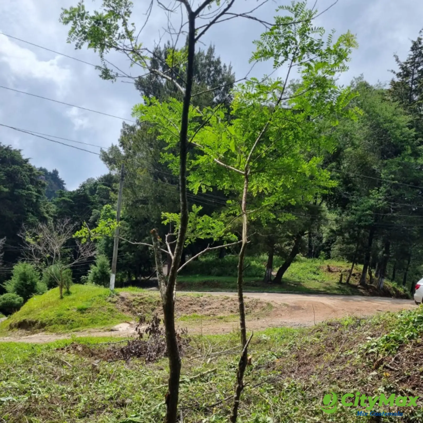 Terreno en Venta Granja Buenos Aires, Fraijanes - foto 4