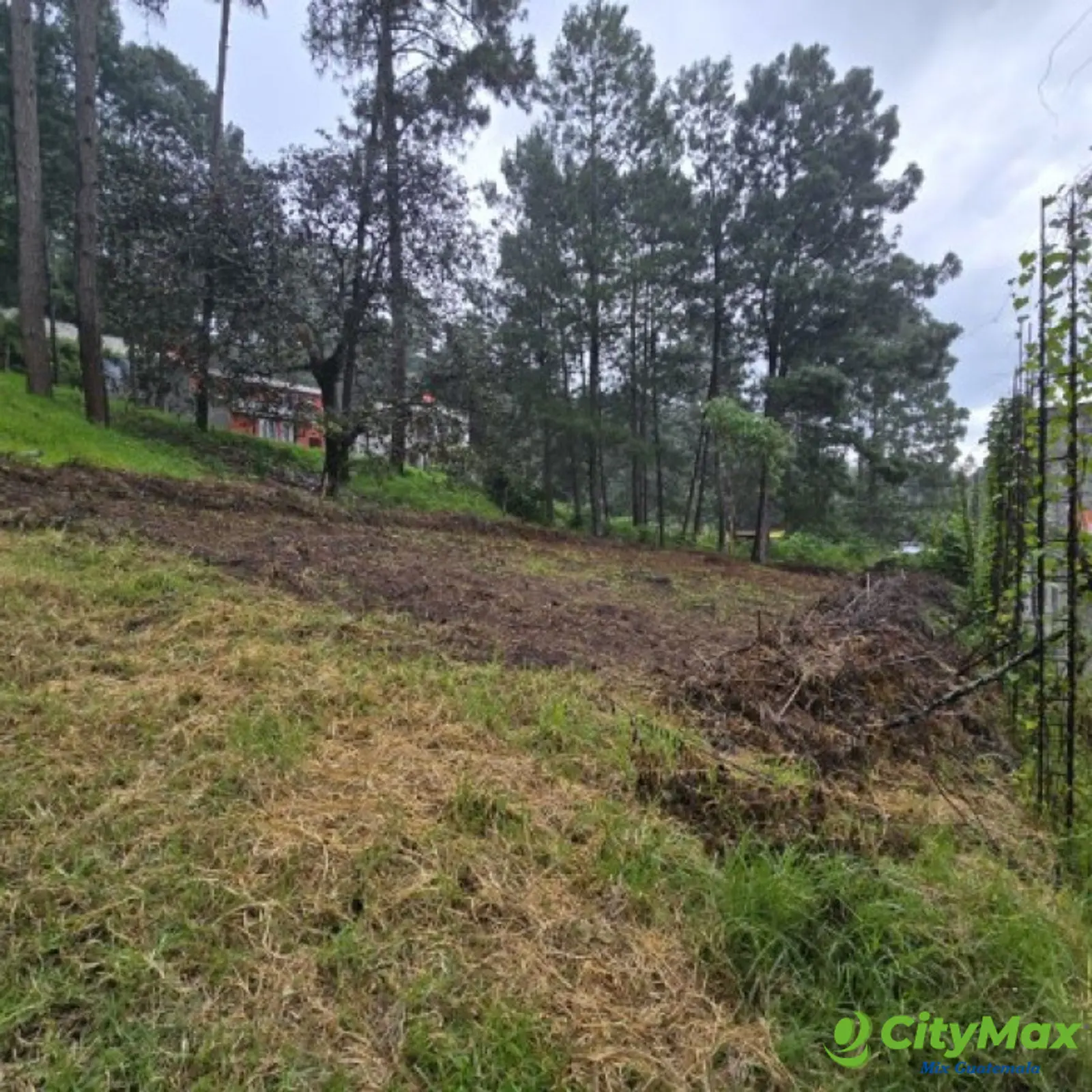 Terreno en Venta Hacienda Manzanales Santa María Cauque - foto 7