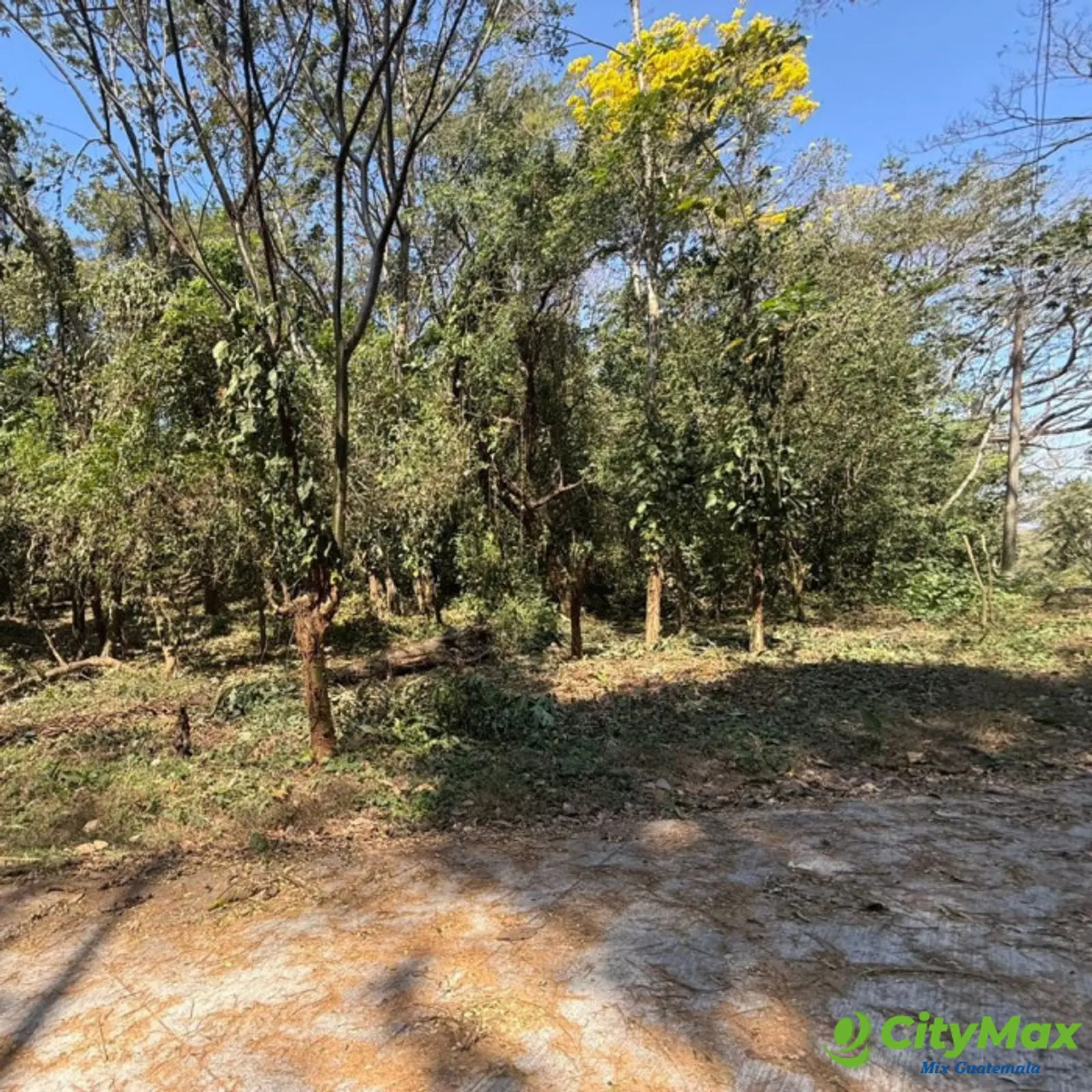 Lote en Venta RioSul, Escuintla, Guatemala - foto 5