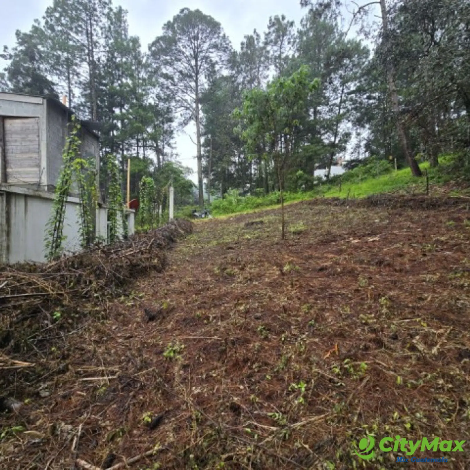 Terreno en Venta Hacienda Manzanales Santa María Cauque - foto 10