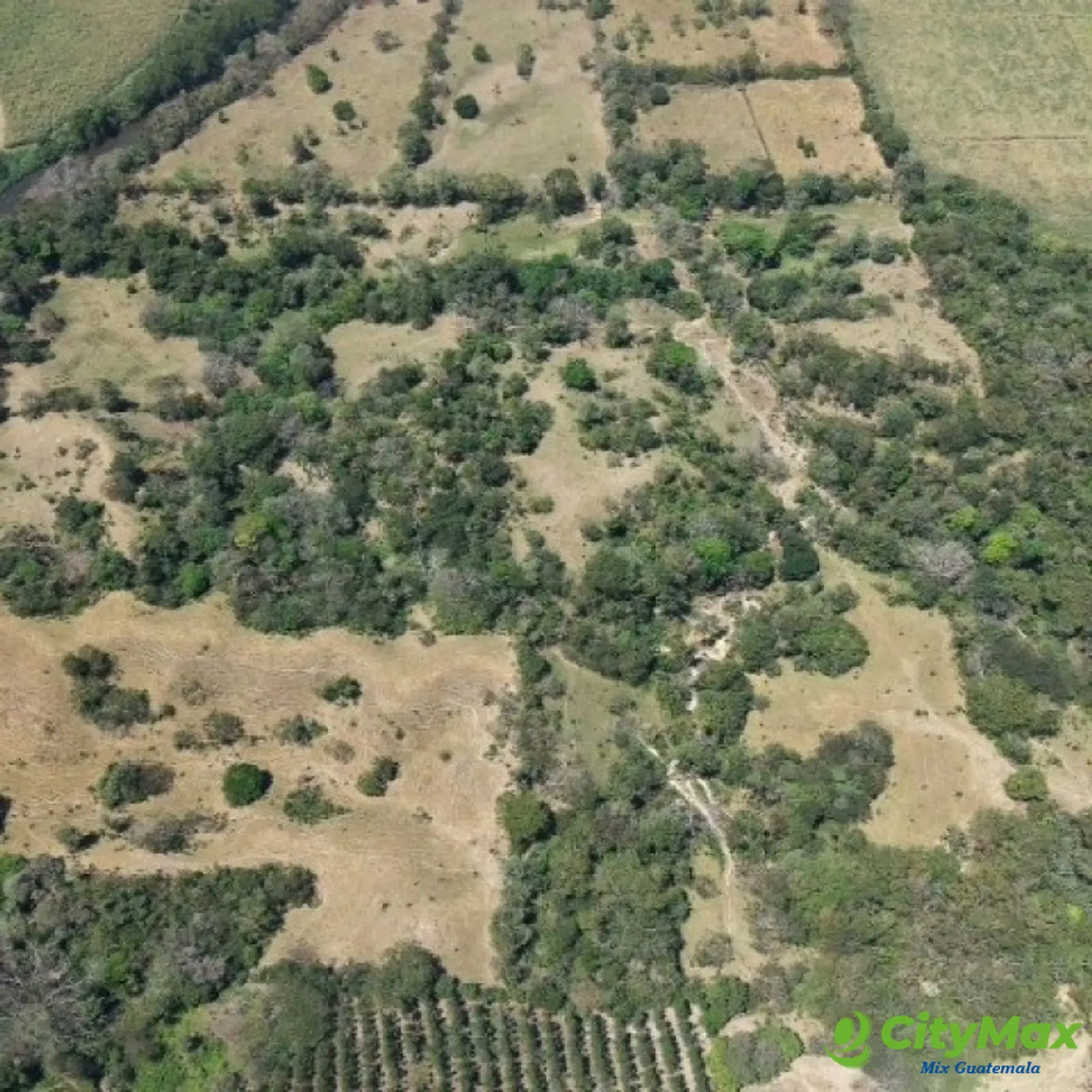 Terreno en Venta Aldea Xayá, Santa Lucía Cotzumalguapa - foto 5