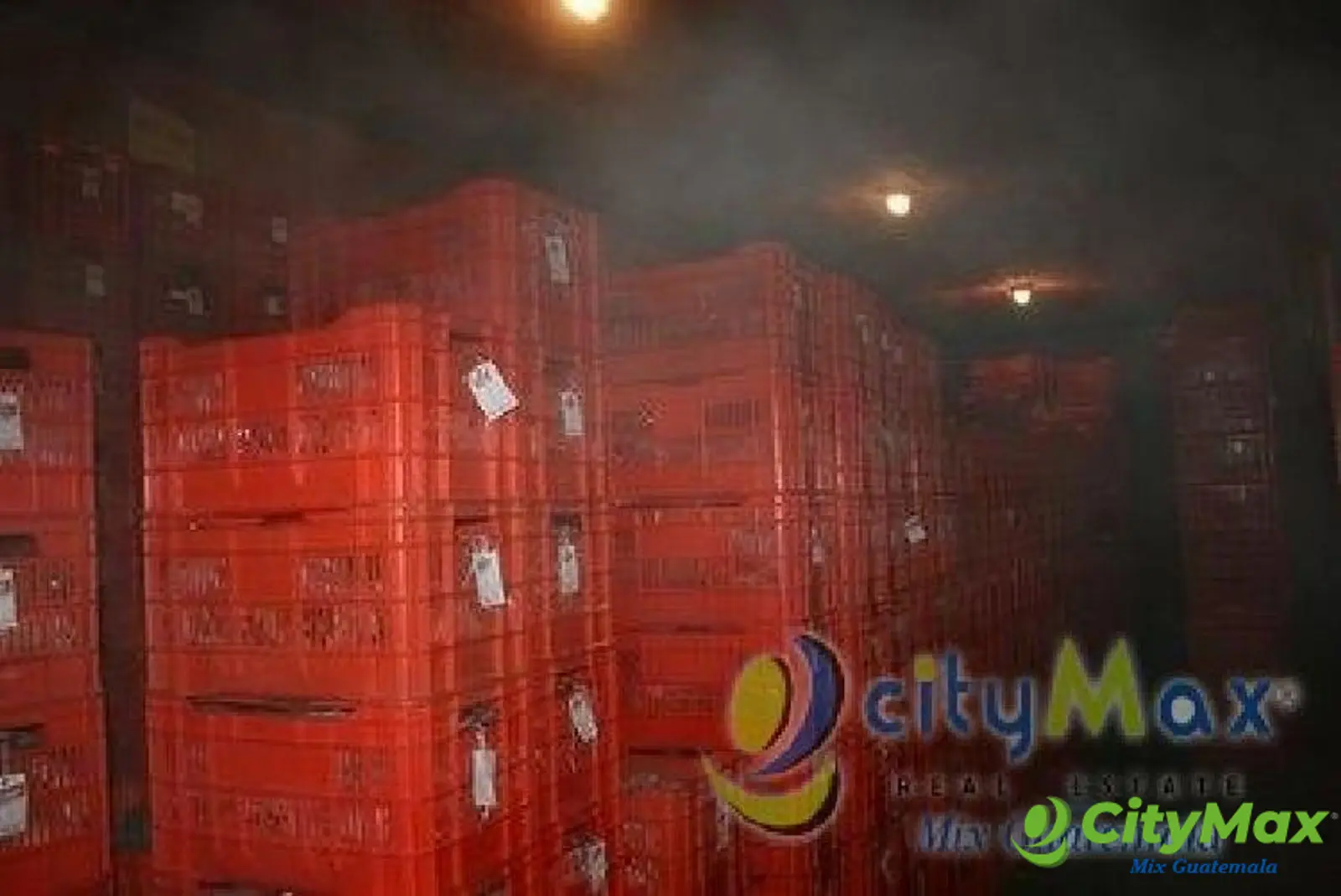 Bodegas refrigeradas en renta San Cristóbal Guatemala - foto 6