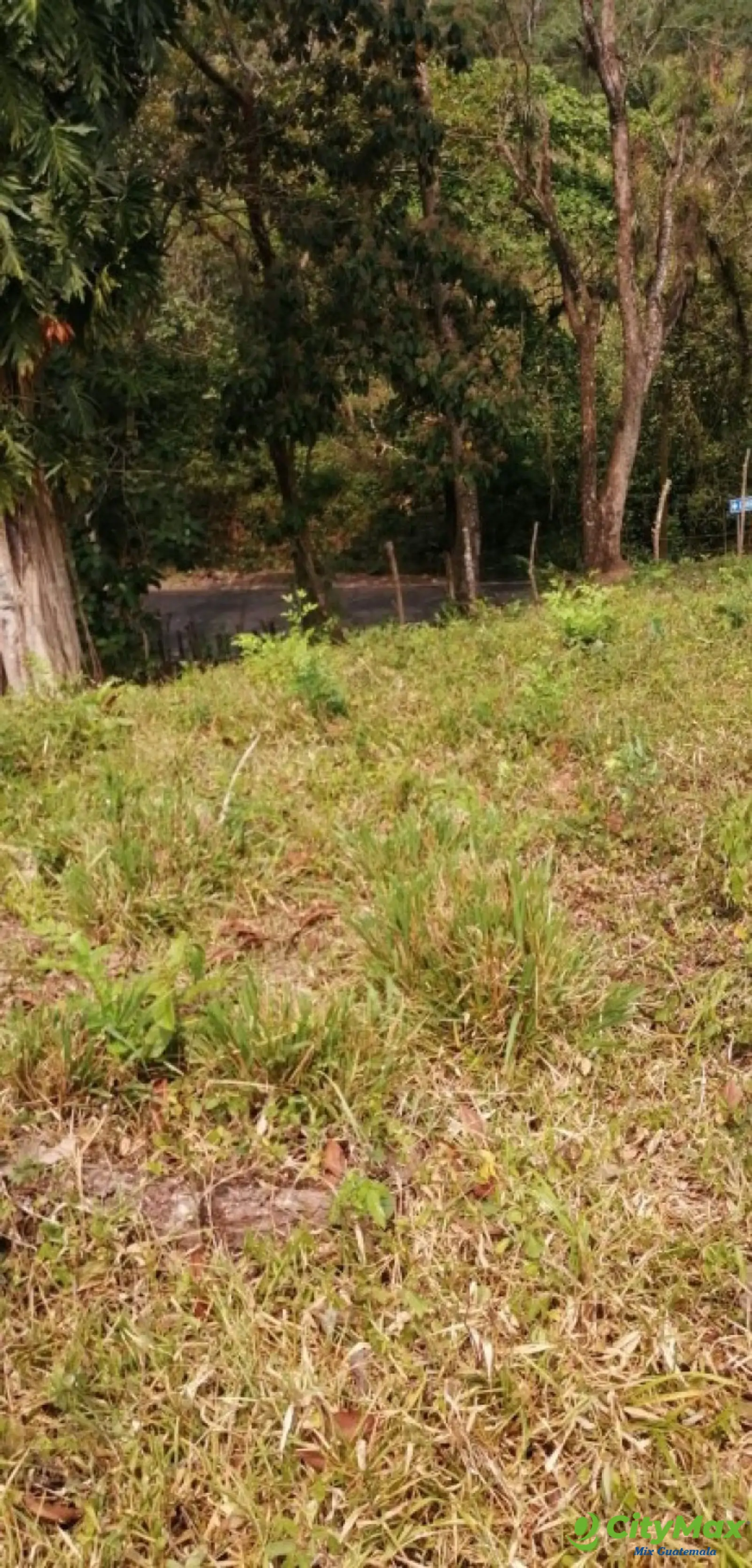 Terreno en Venta Los Amates Izabal, Guatemala - foto 4