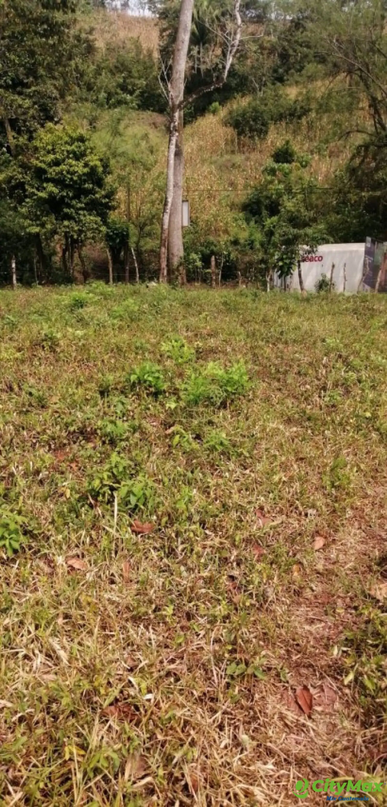 Terreno en Venta Los Amates Izabal, Guatemala - foto 2